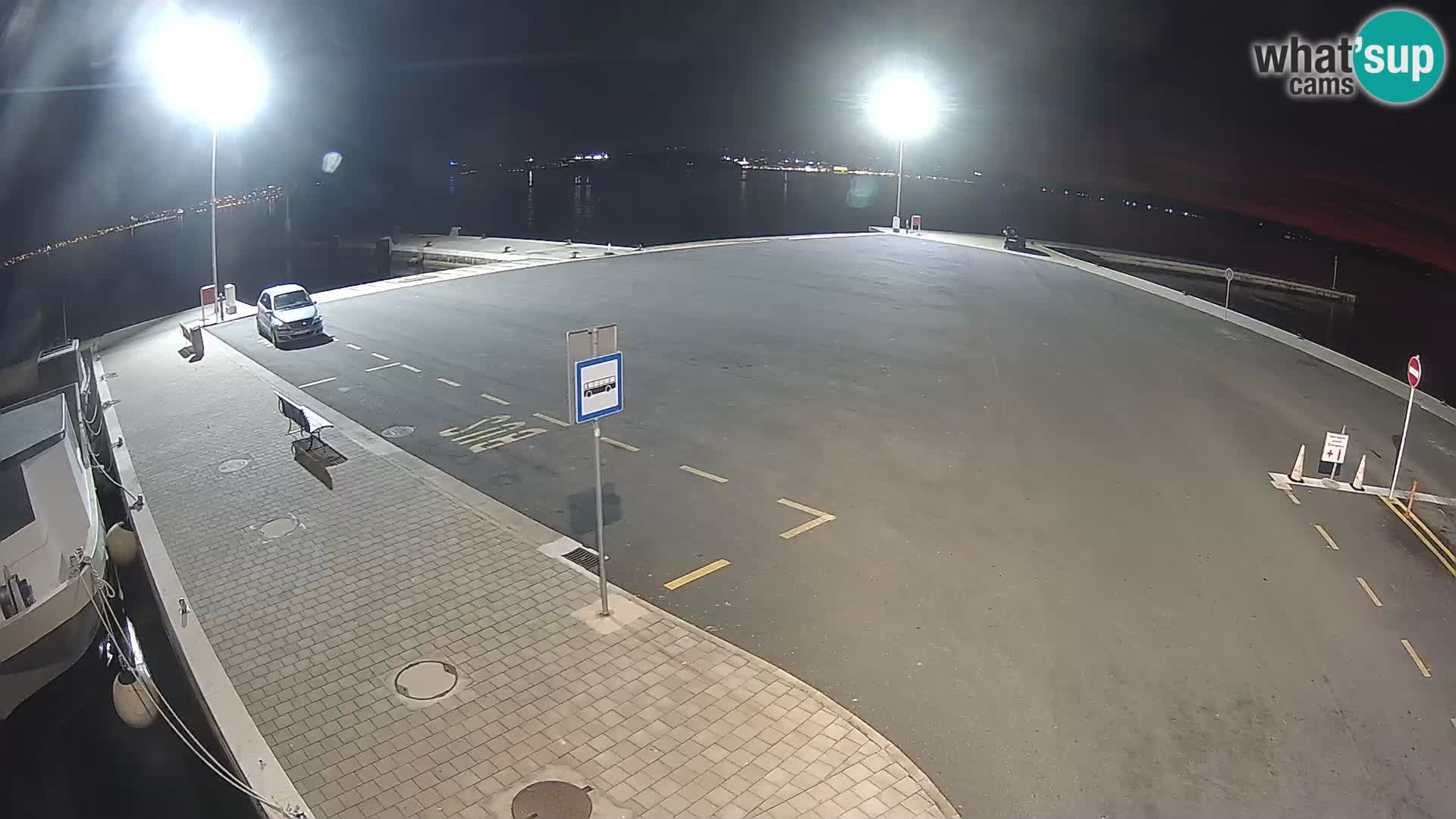 Tkon v živo – trajekt – Dalmacija – Hrvaška