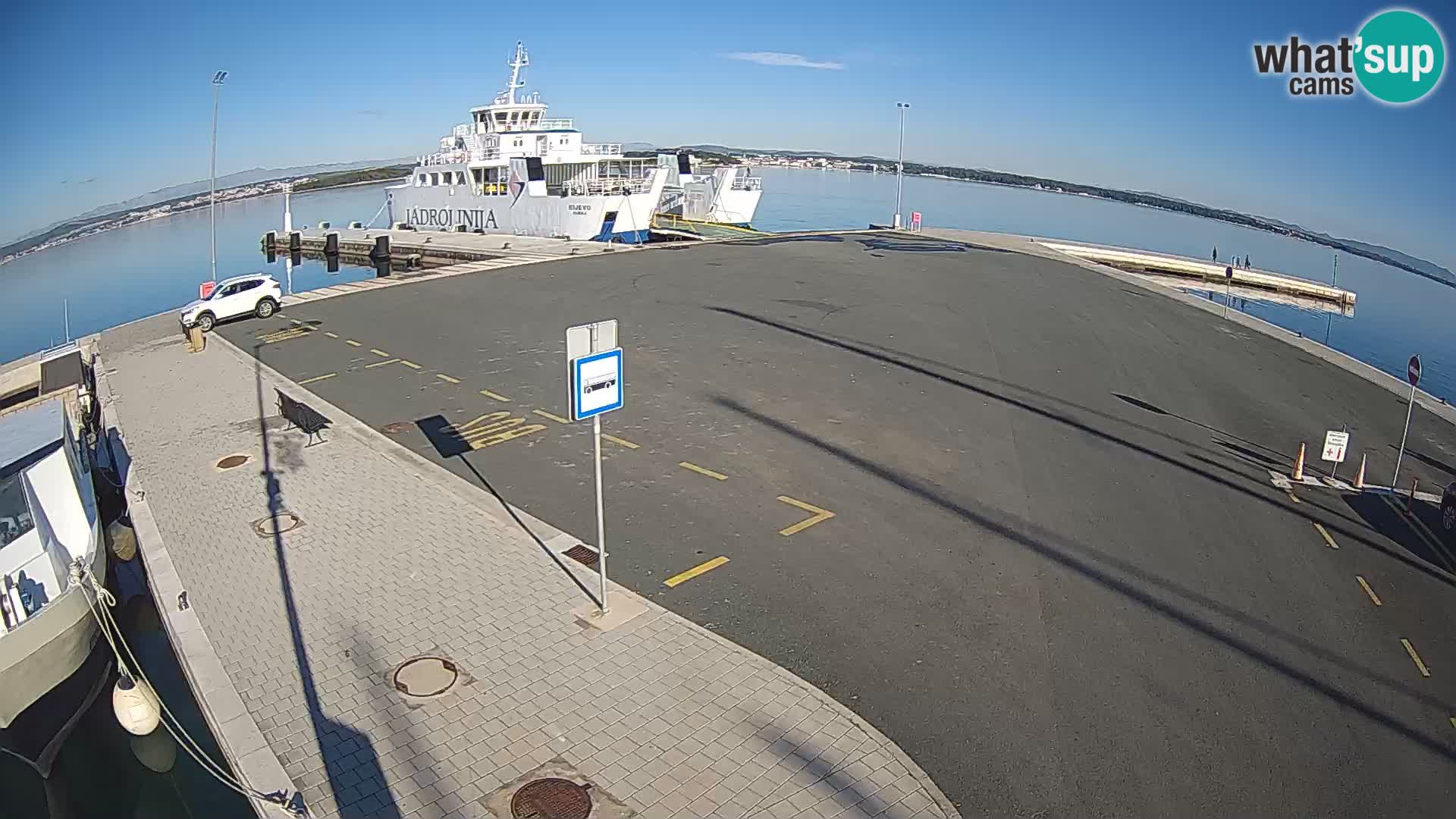 Tkon v živo – trajekt – Dalmacija – Hrvaška