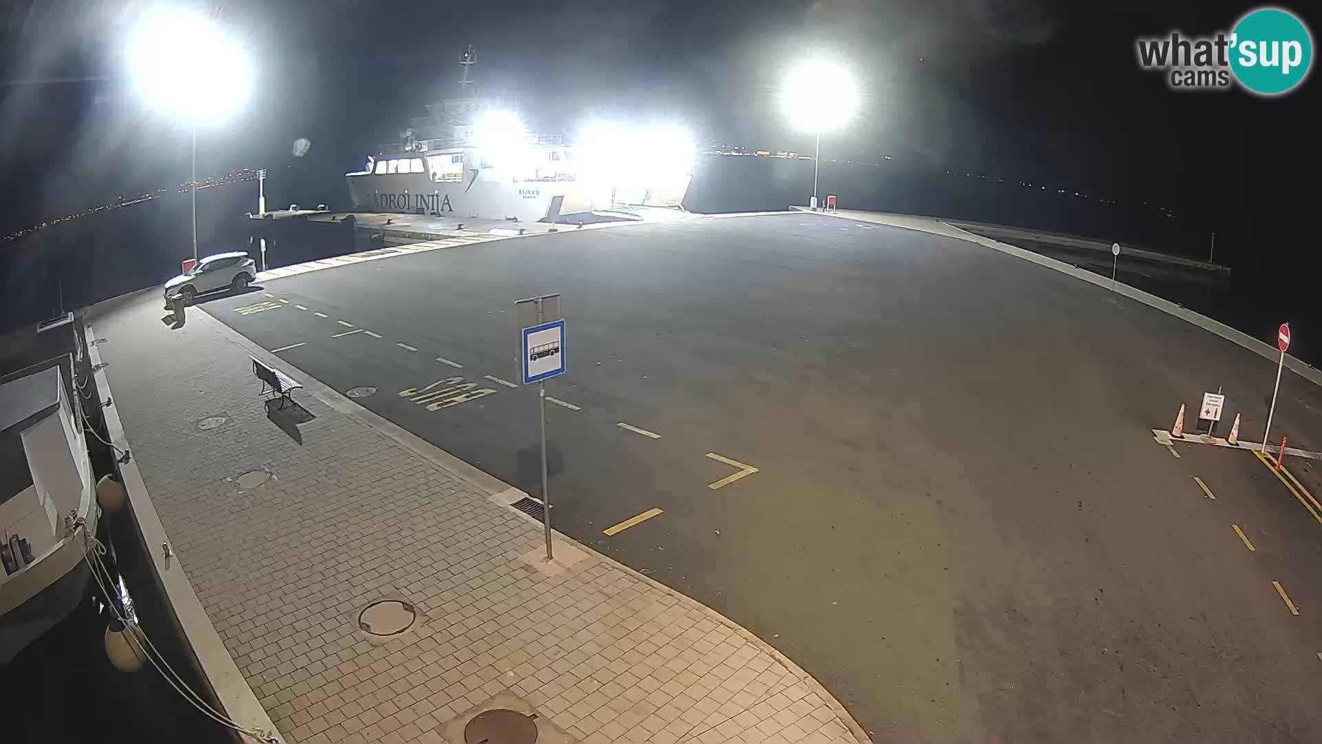 Tkon v živo – trajekt – Dalmacija – Hrvaška