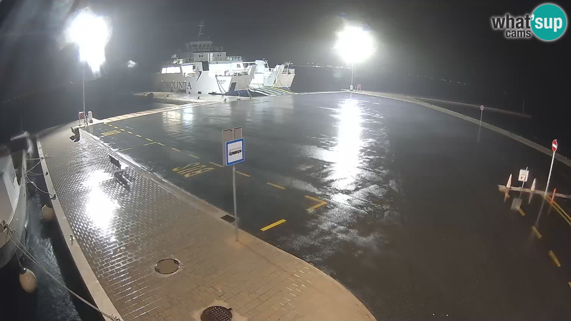 Tkon v živo – trajekt – Dalmacija – Hrvaška