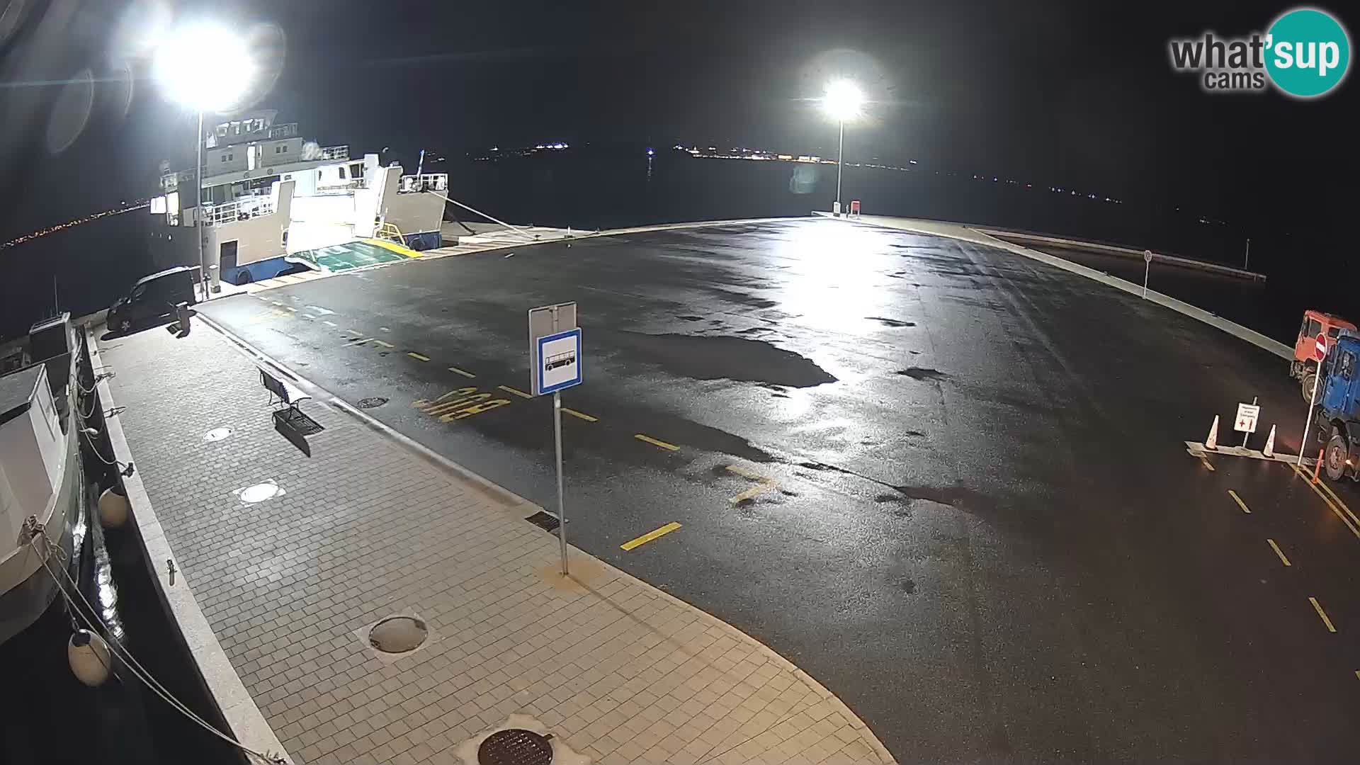 Tkon v živo – trajekt – Dalmacija – Hrvaška