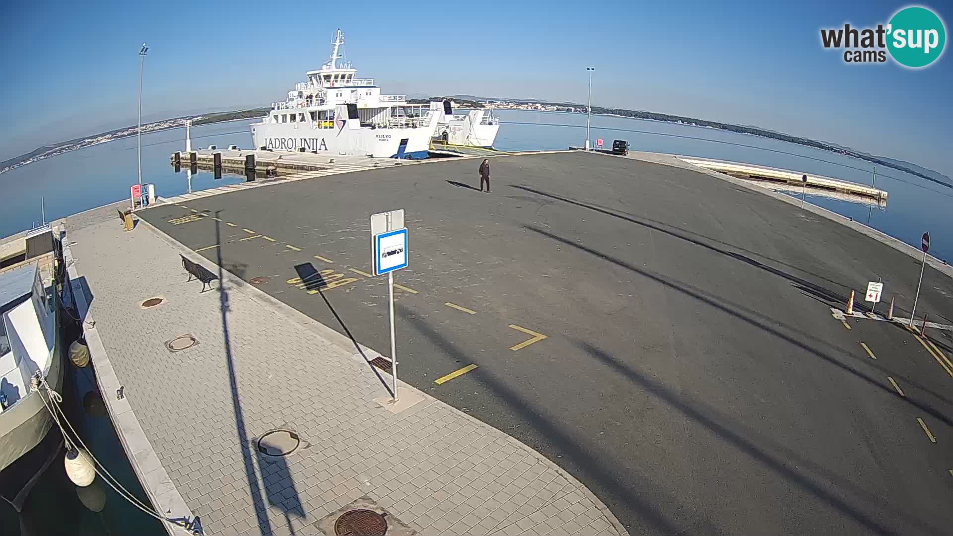 Tkon v živo – trajekt – Dalmacija – Hrvaška