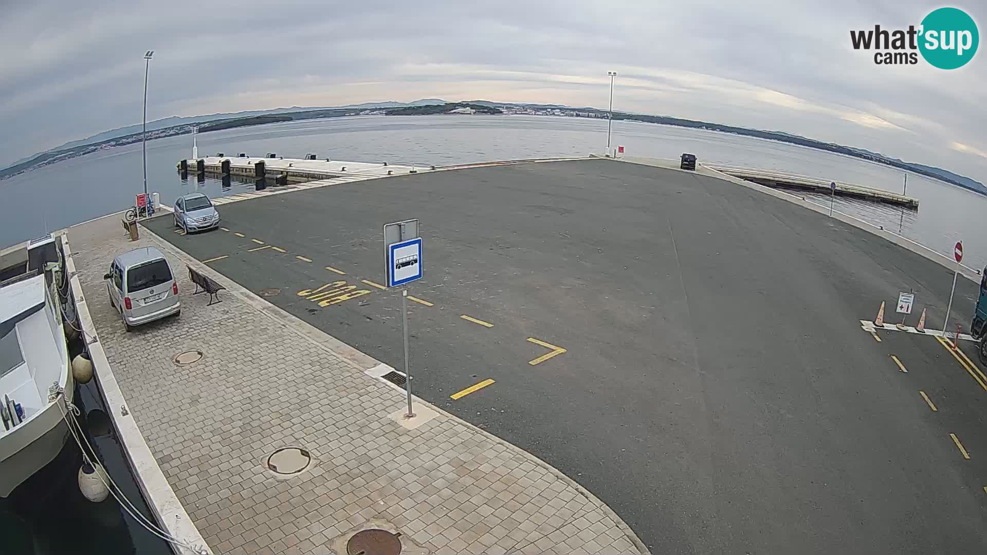 Tkon v živo – trajekt – Dalmacija – Hrvaška