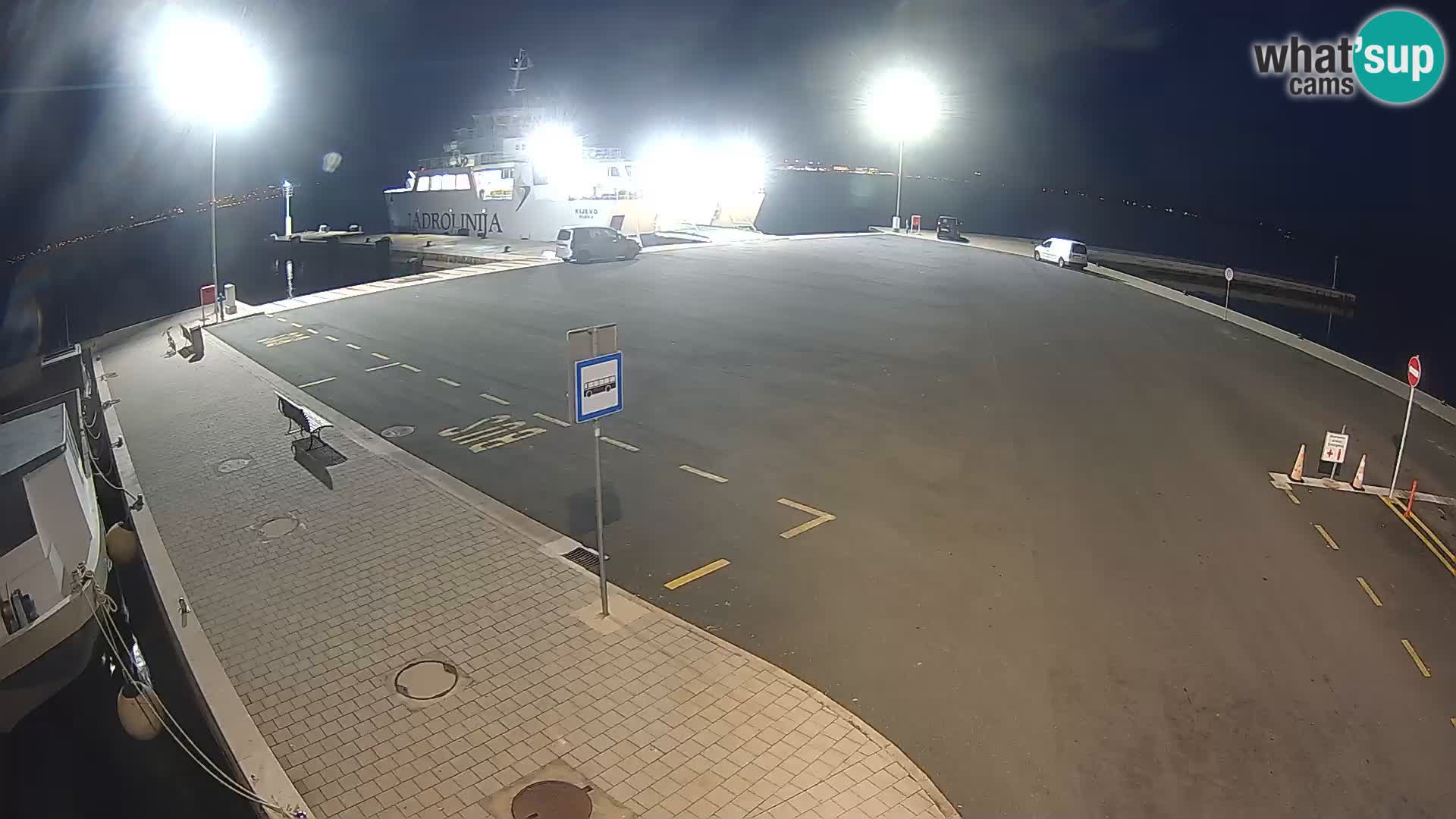 Tkon v živo – trajekt – Dalmacija – Hrvaška