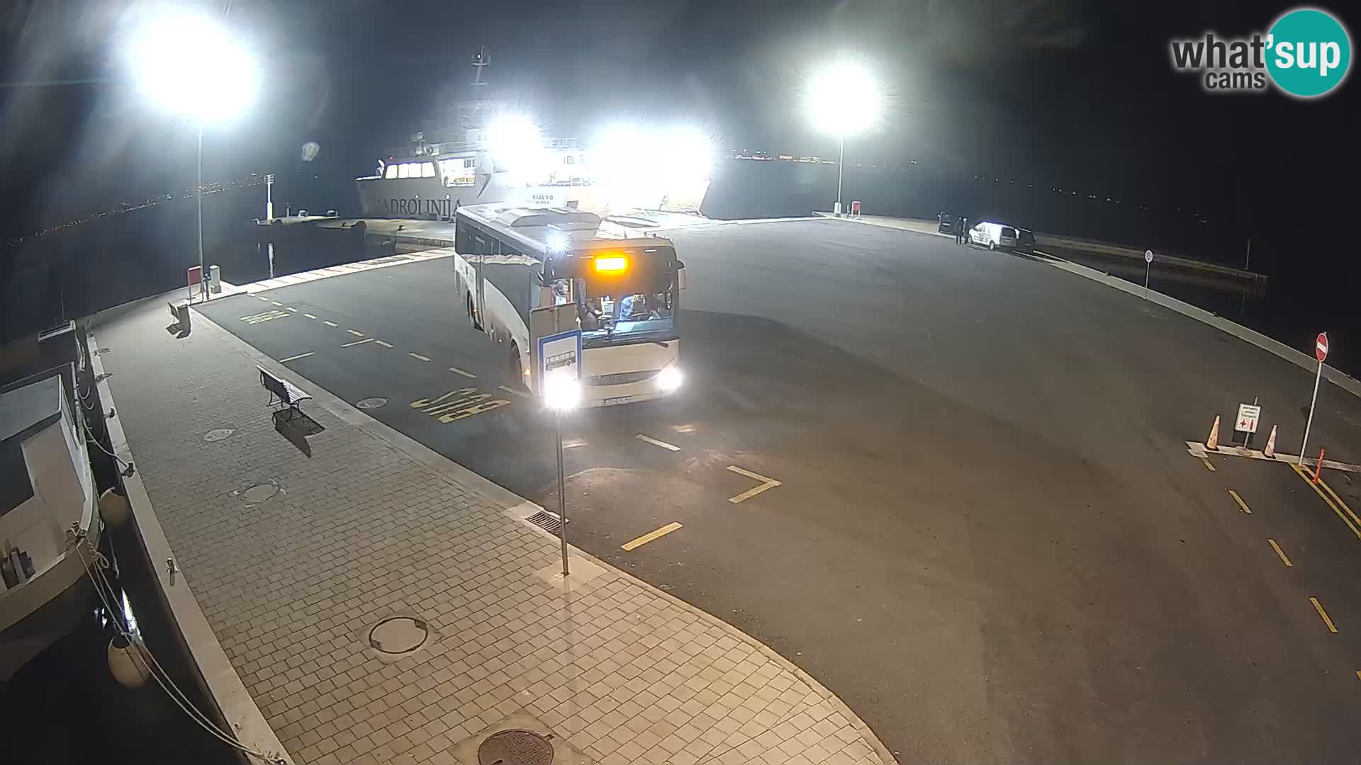 Tkon v živo – trajekt – Dalmacija – Hrvaška