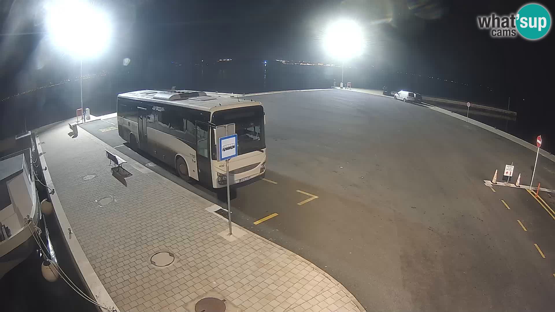 Tkon v živo – trajekt – Dalmacija – Hrvaška