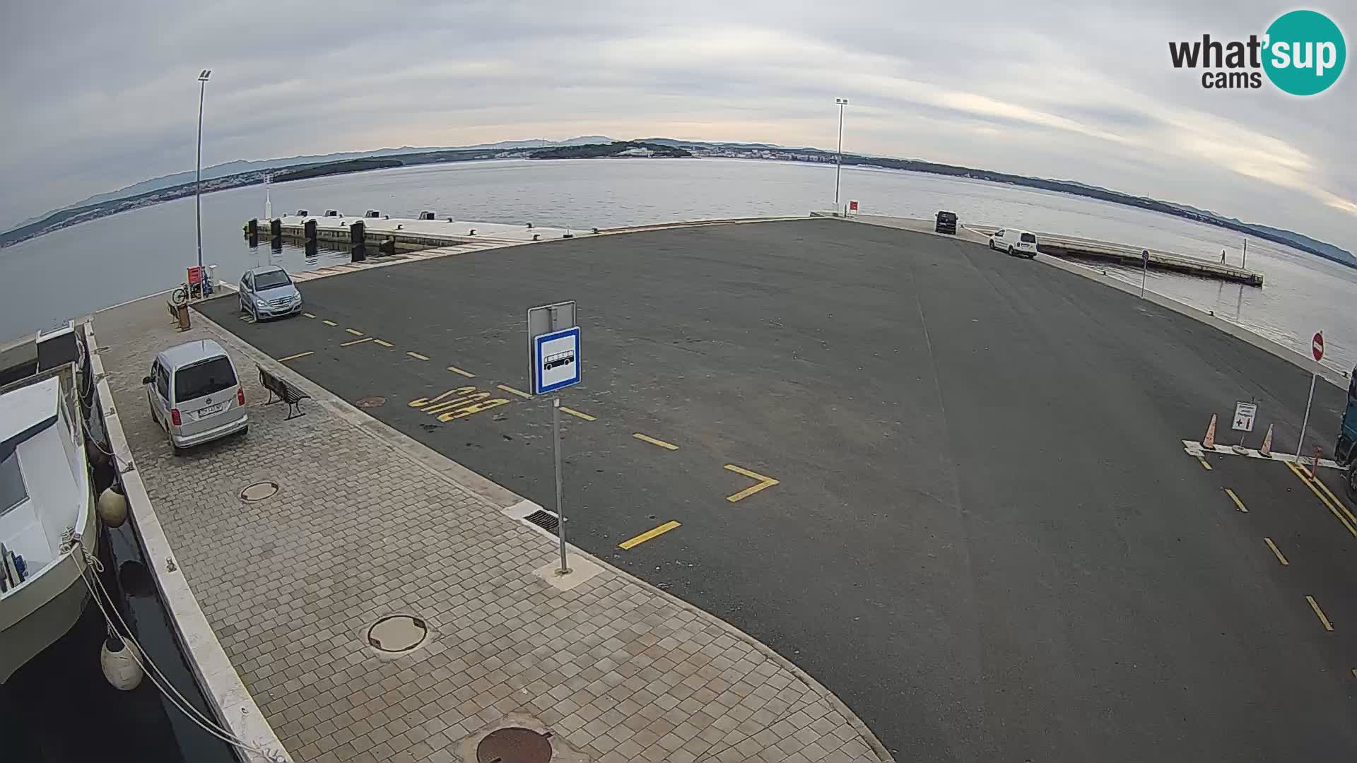 Tkon v živo – trajekt – Dalmacija – Hrvaška