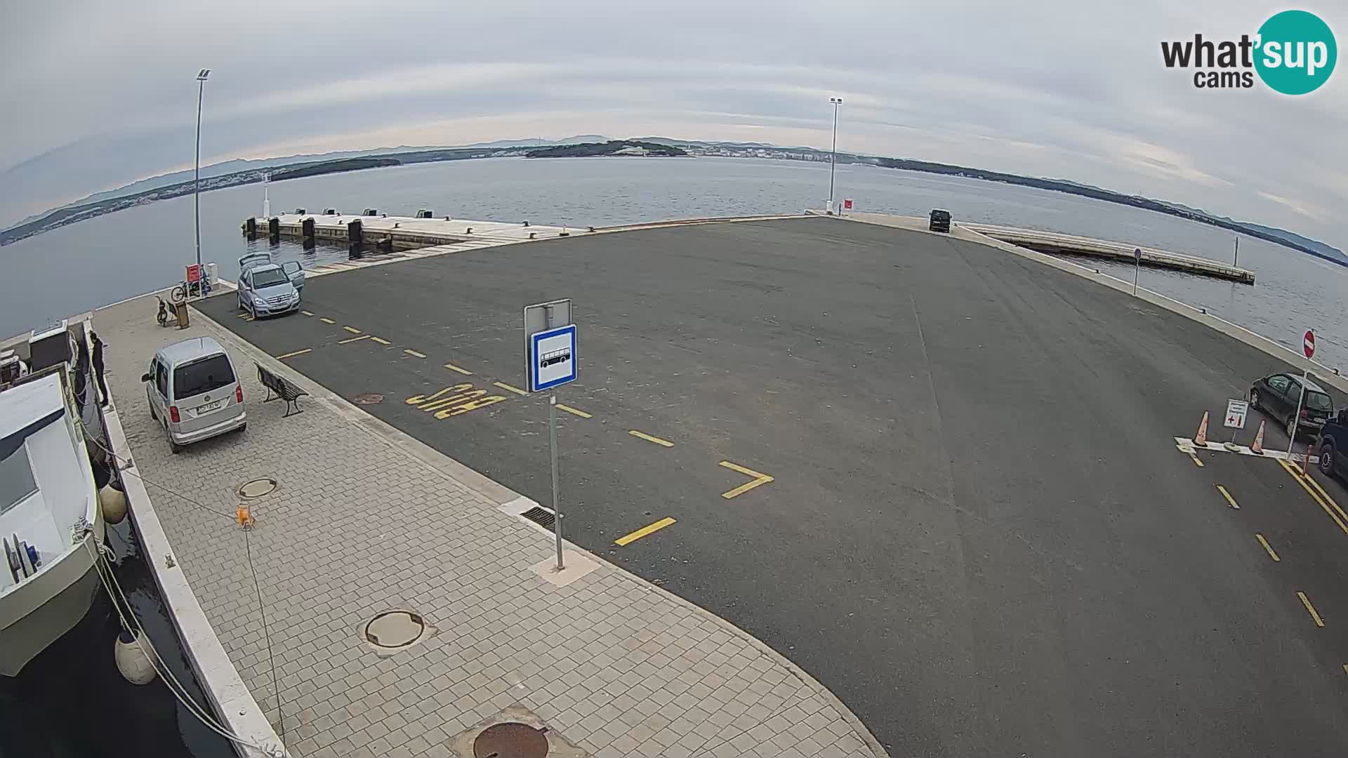 Tkon v živo – trajekt – Dalmacija – Hrvaška