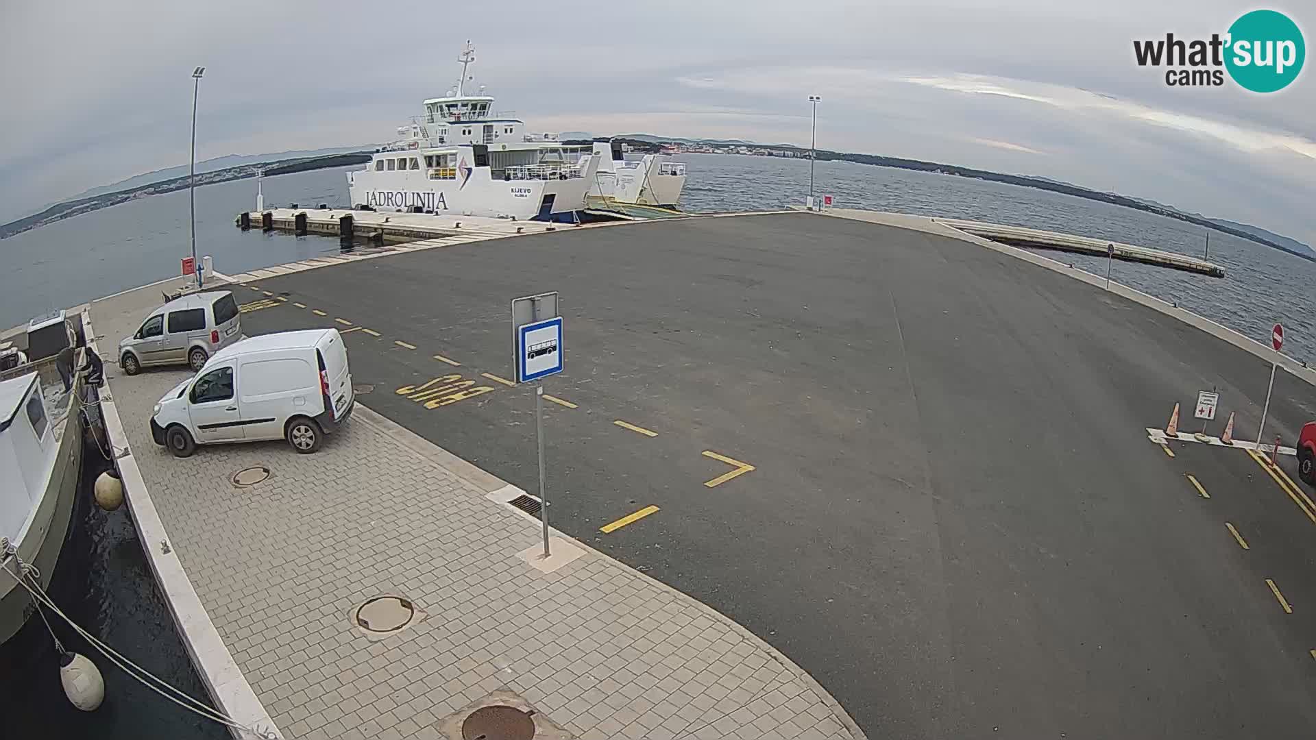 Tkon u živo – trajekt – Dalmacija