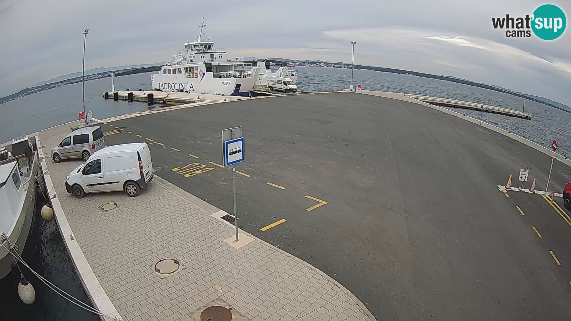 Tkon camera en vivo – Transportar – Dalmacia – Croacia