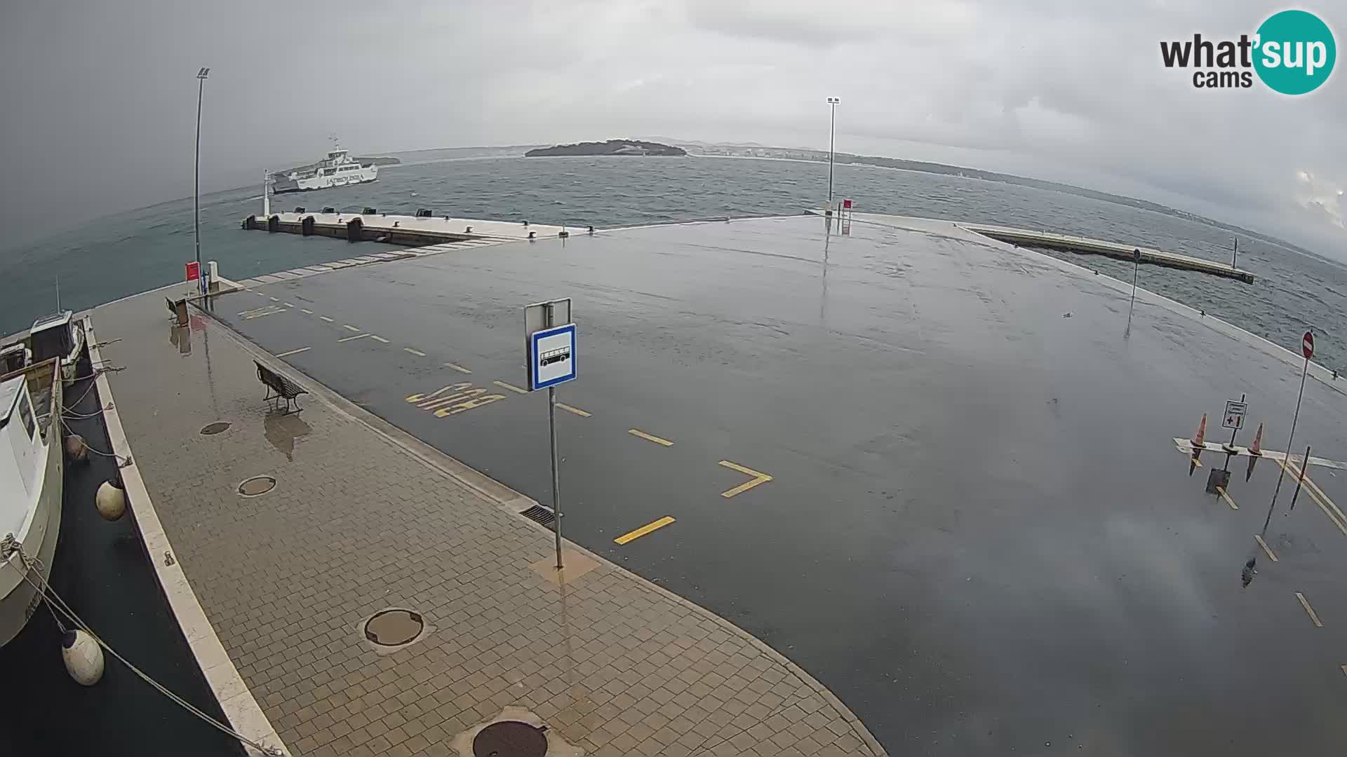 Tkon v živo – trajekt – Dalmacija – Hrvaška