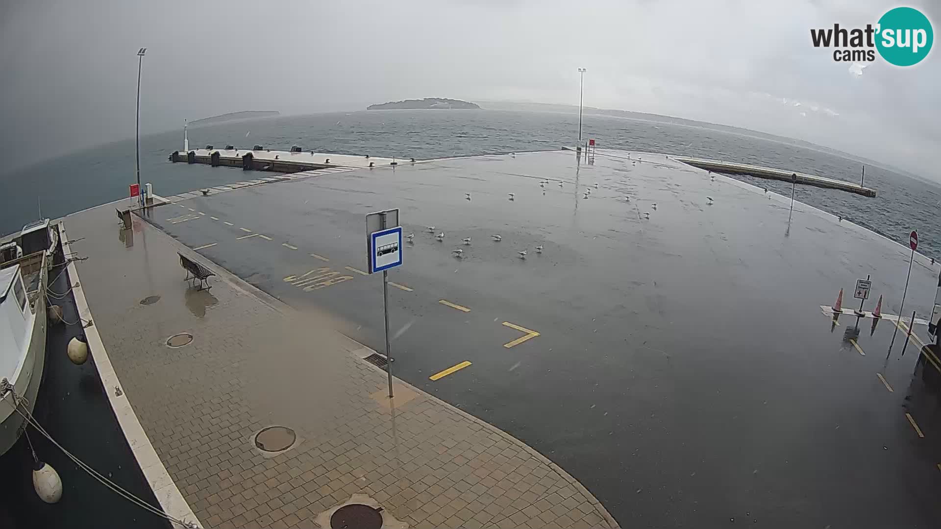 Tkon camera en vivo – Transportar – Dalmacia – Croacia