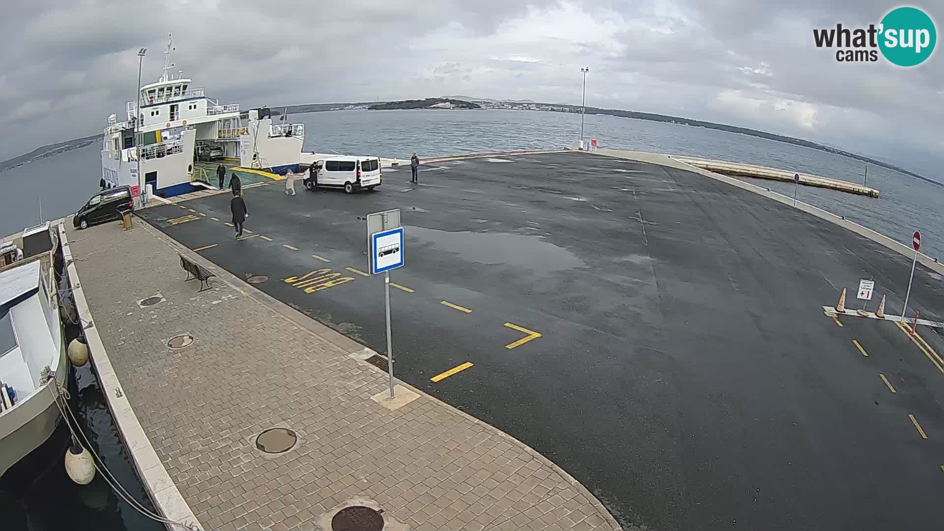 Tkon u živo – trajekt – Dalmacija