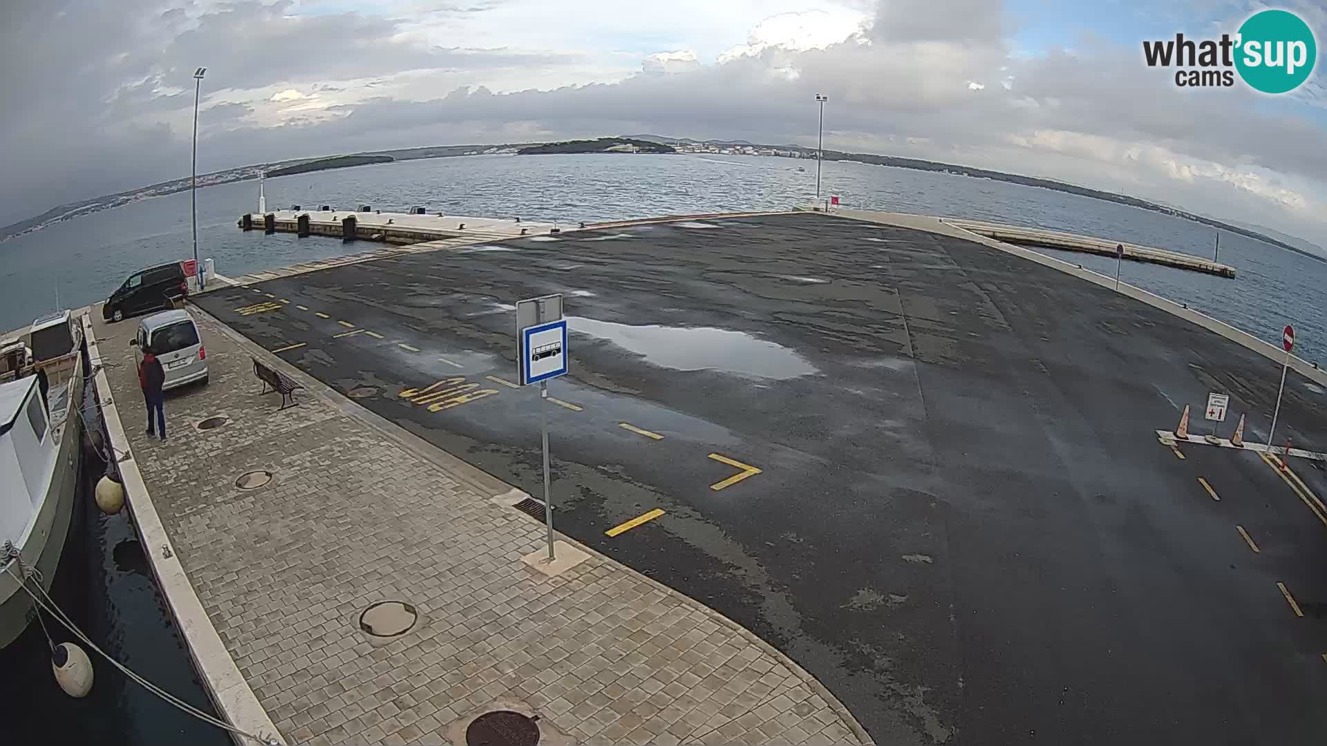 Tkon v živo – trajekt – Dalmacija – Hrvaška