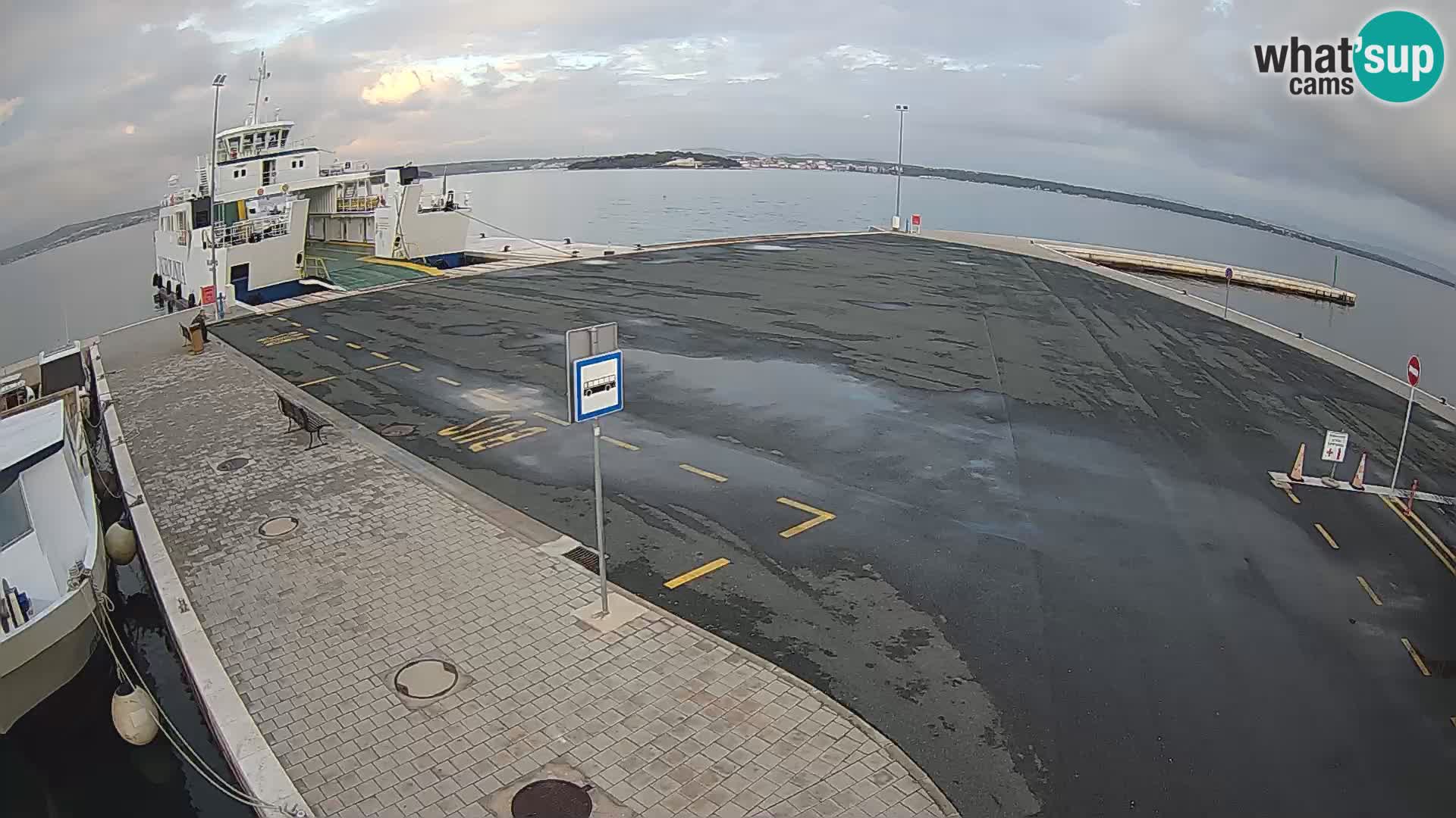 Tkon Live cam – traghetto – Dalmazia – Croazia