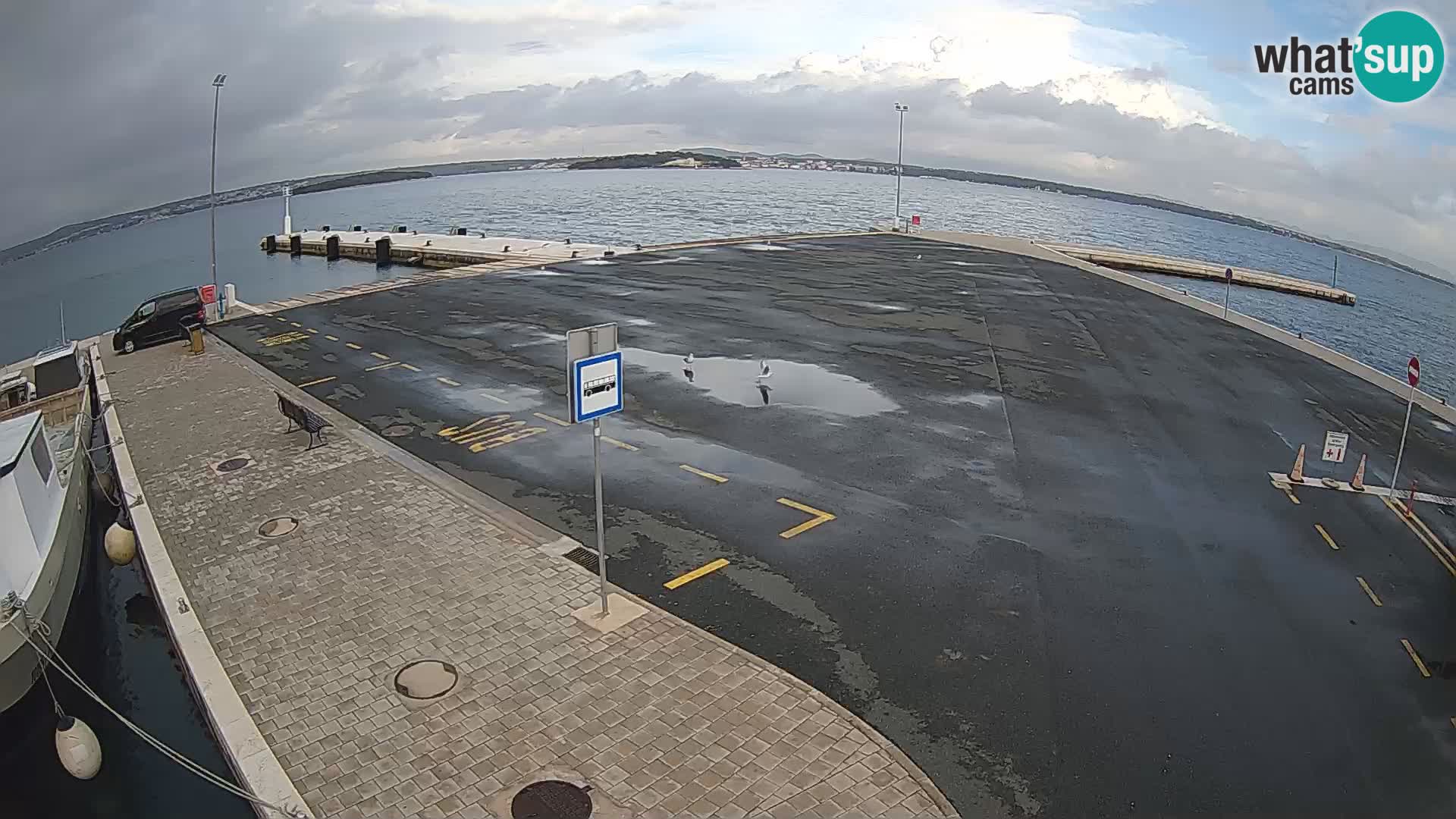 Tkon v živo – trajekt – Dalmacija – Hrvaška