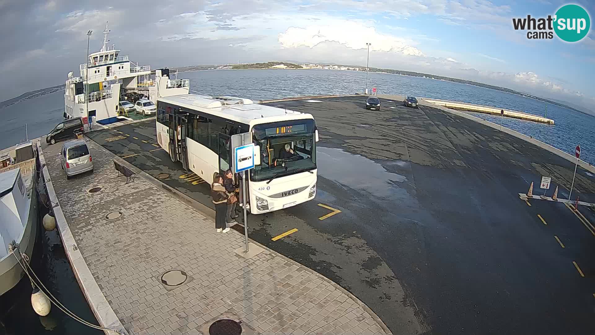 Tkon v živo – trajekt – Dalmacija – Hrvaška