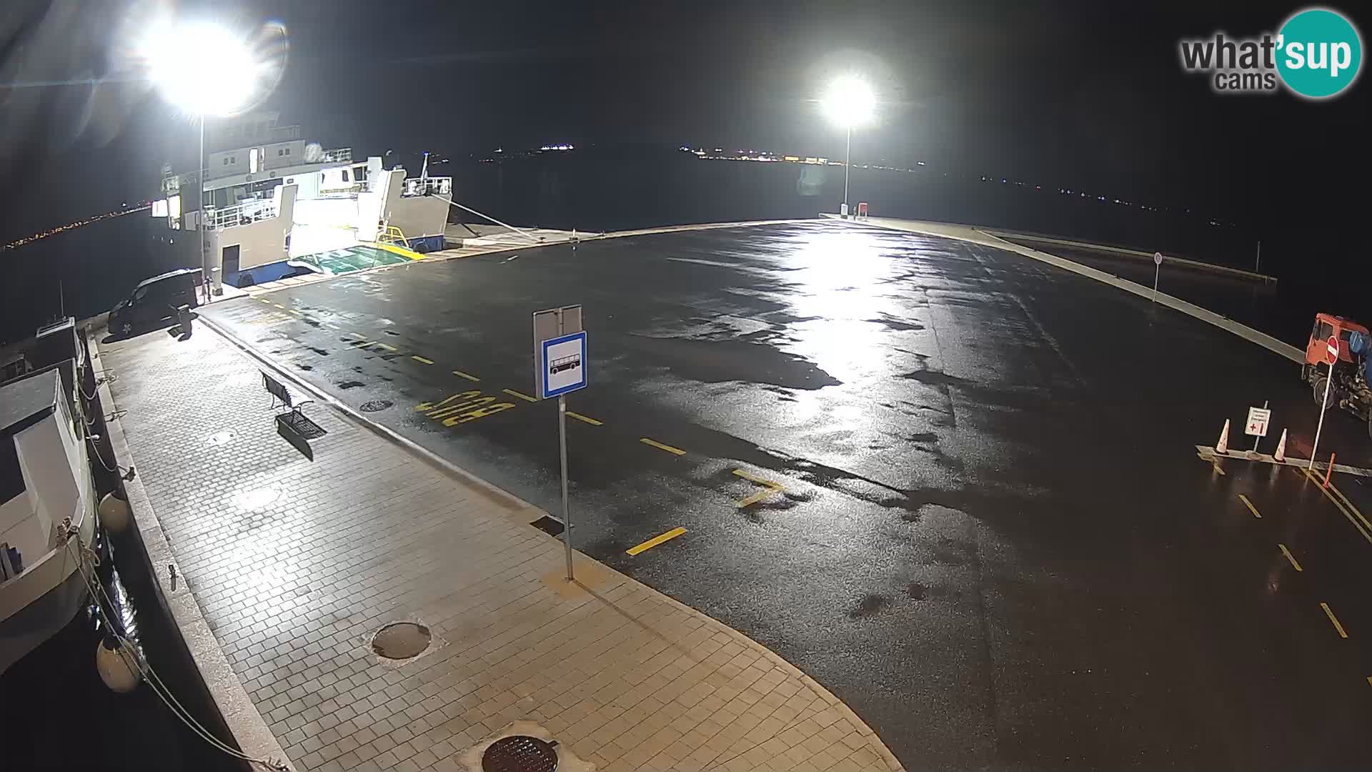 Tkon v živo – trajekt – Dalmacija – Hrvaška