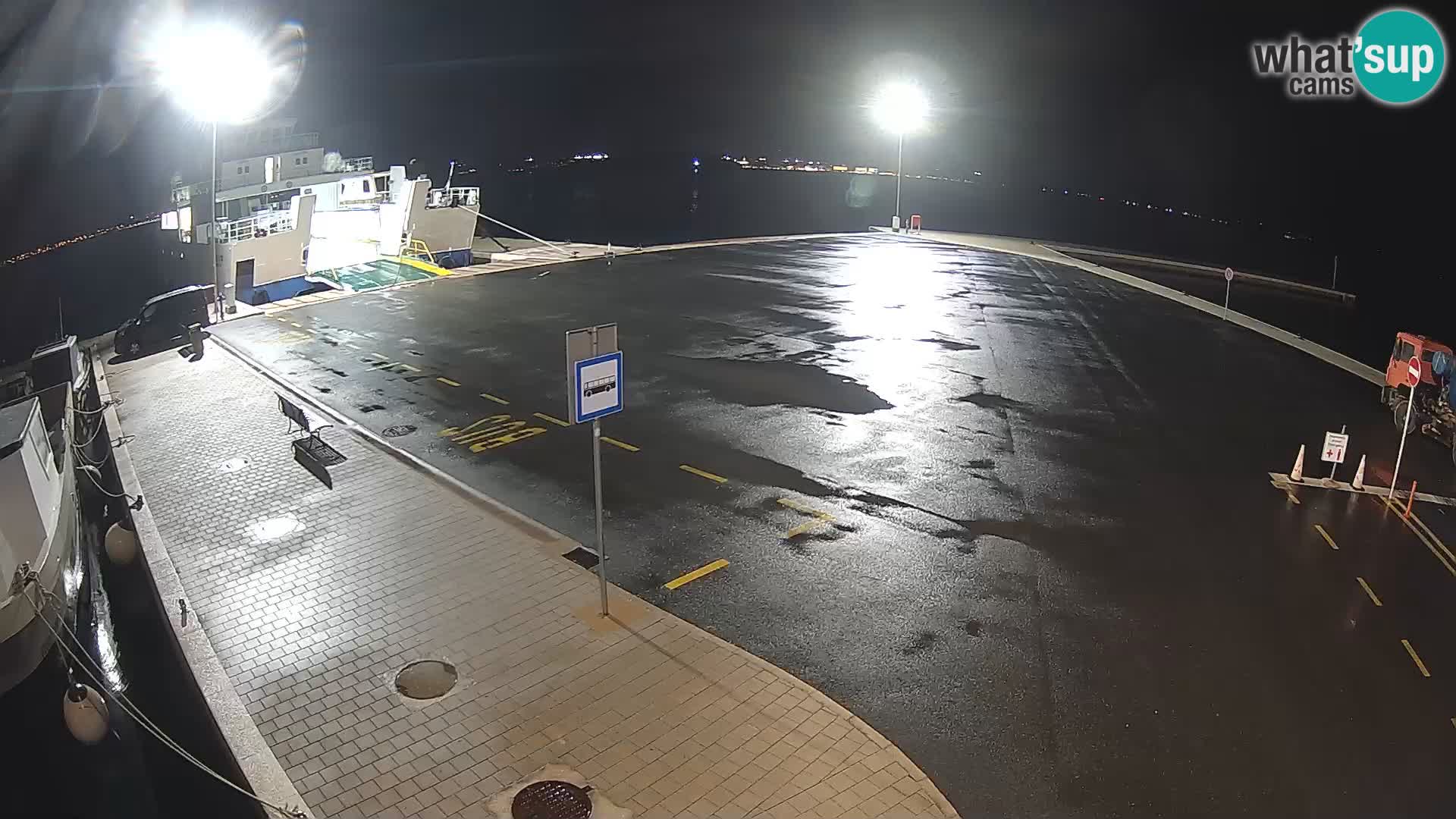 Tkon v živo – trajekt – Dalmacija – Hrvaška