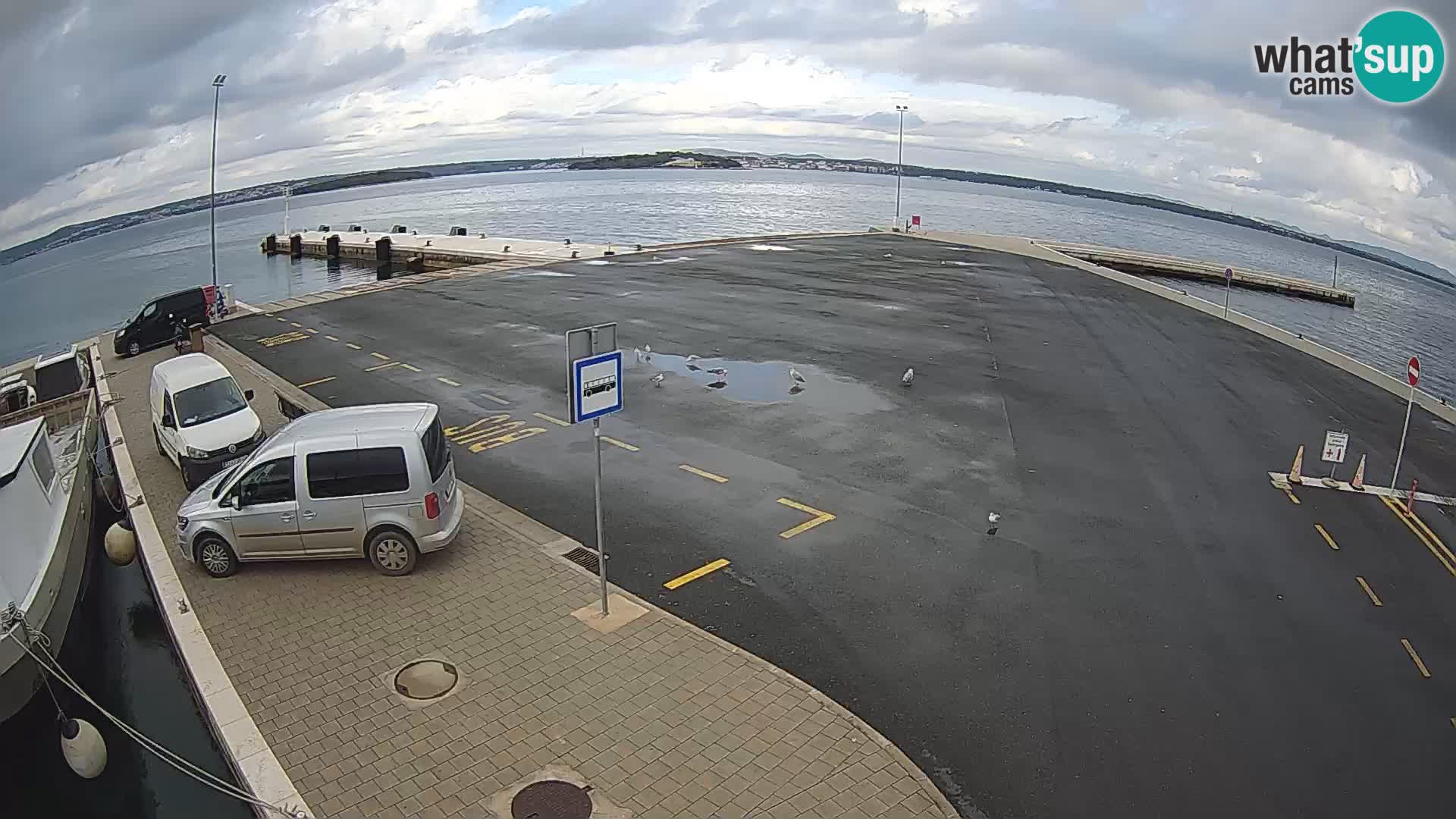 Tkon Live cam – traghetto – Dalmazia – Croazia