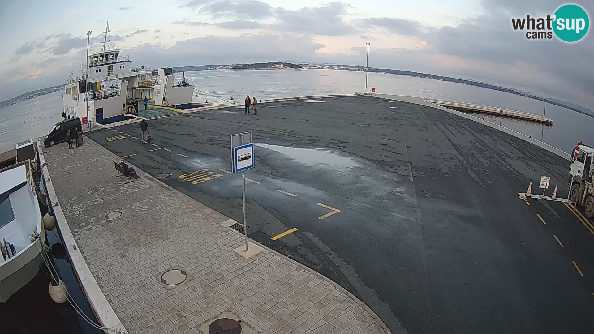 Tkon v živo – trajekt – Dalmacija – Hrvaška