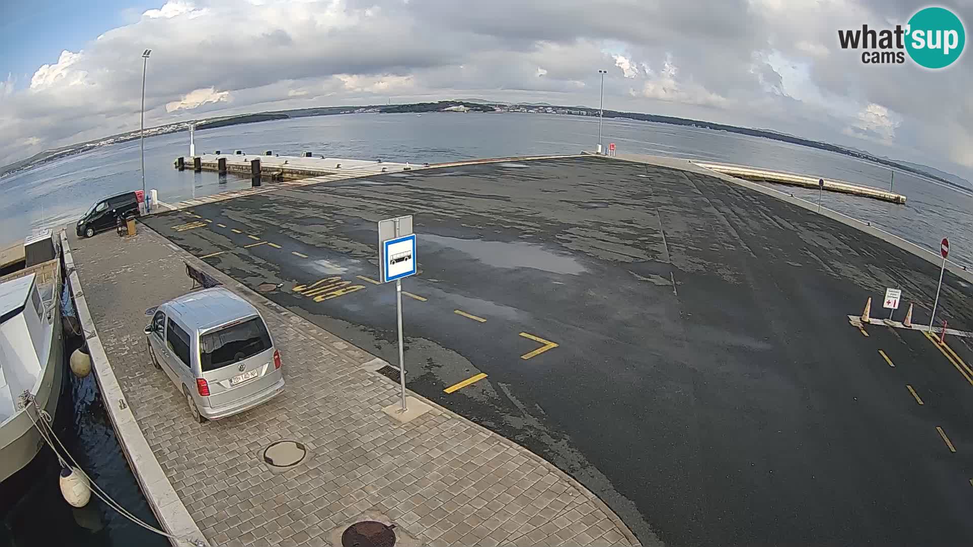 Tkon v živo – trajekt – Dalmacija – Hrvaška