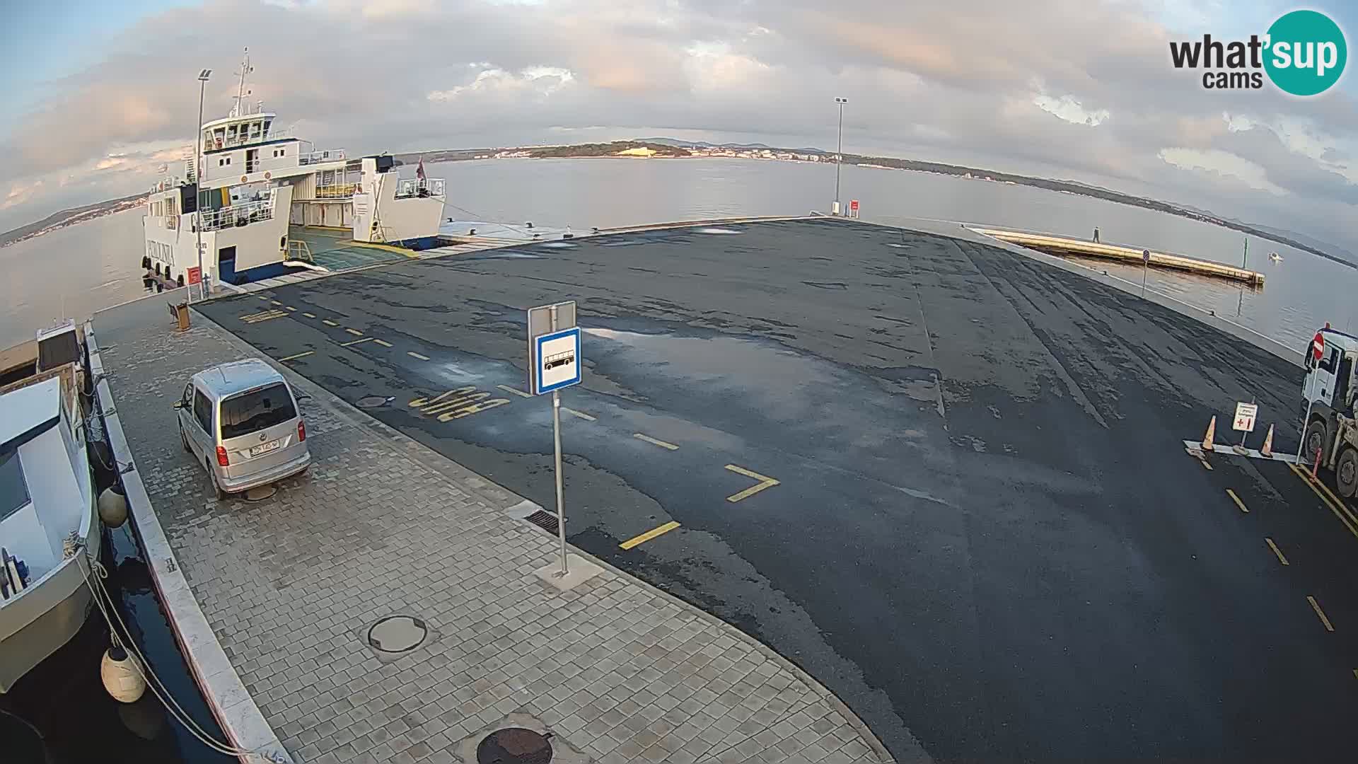 Tkon v živo – trajekt – Dalmacija – Hrvaška