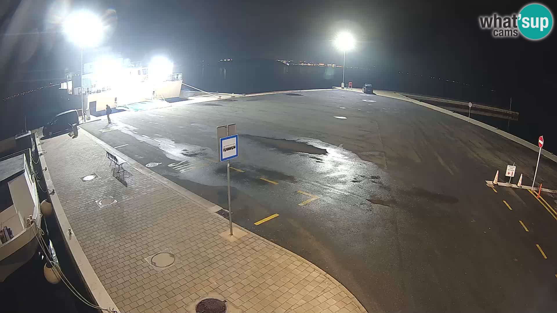 Tkon v živo – trajekt – Dalmacija – Hrvaška