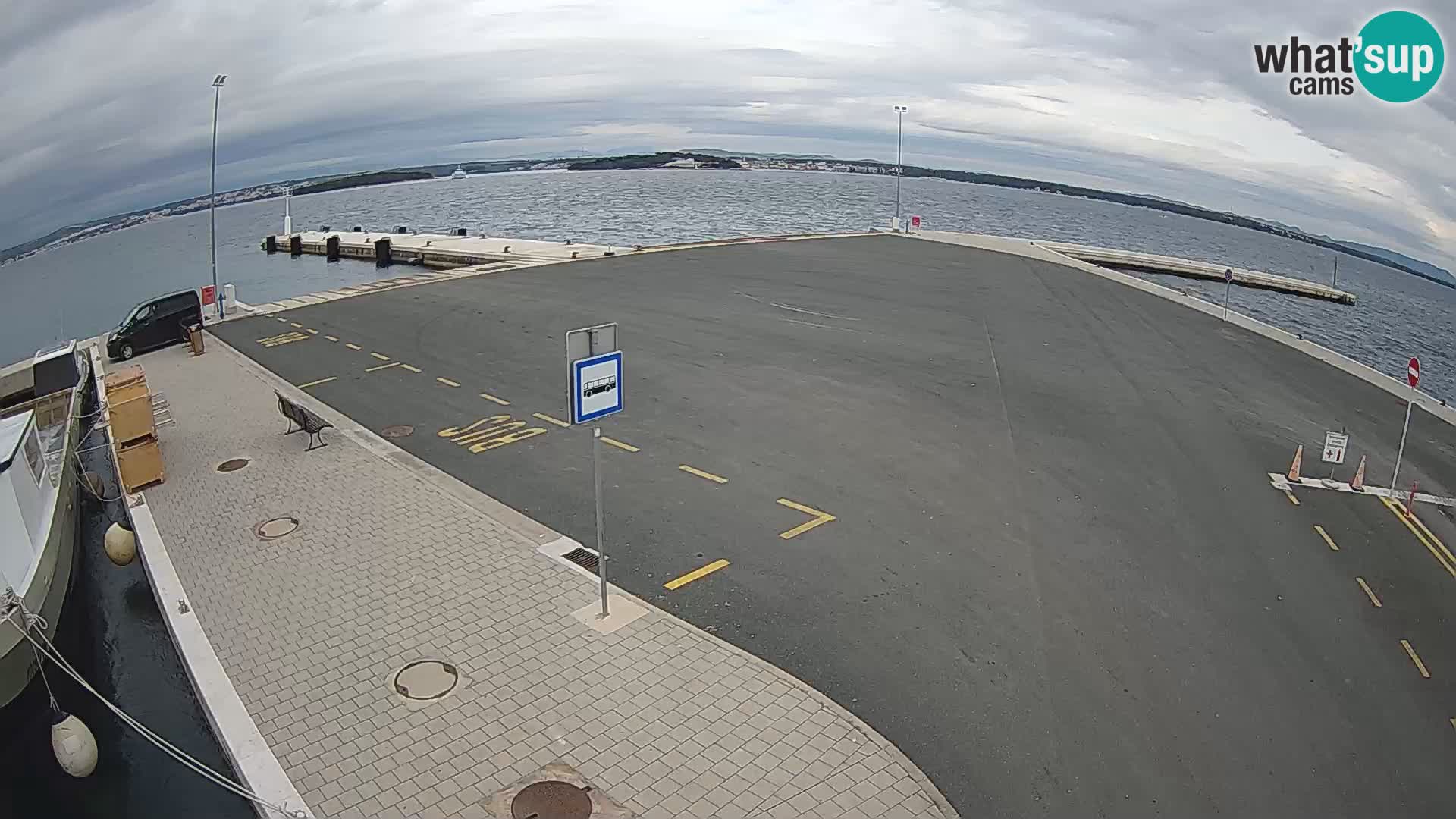 Tkon v živo – trajekt – Dalmacija – Hrvaška