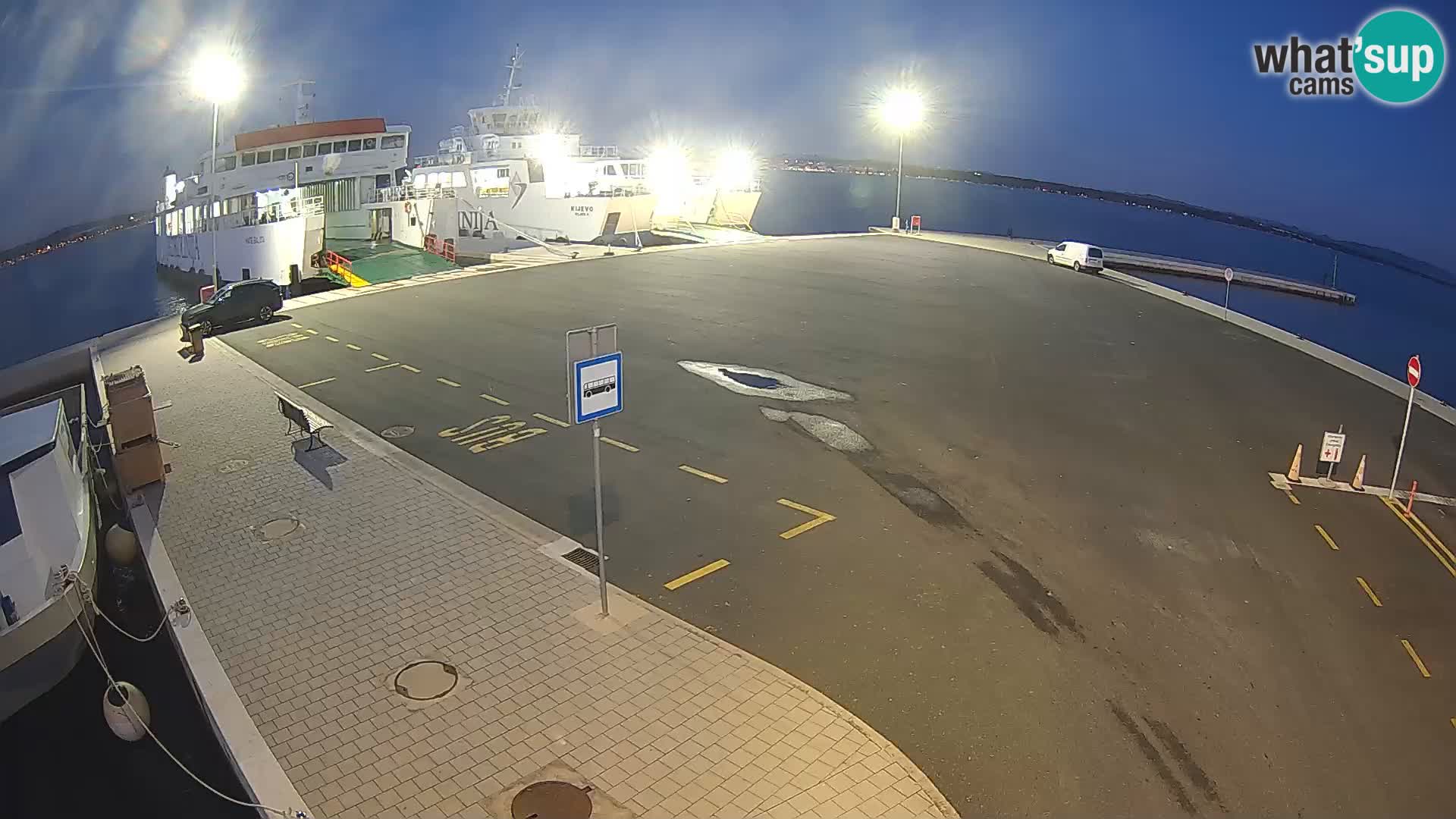 Tkon camera en vivo – Transportar – Dalmacia – Croacia