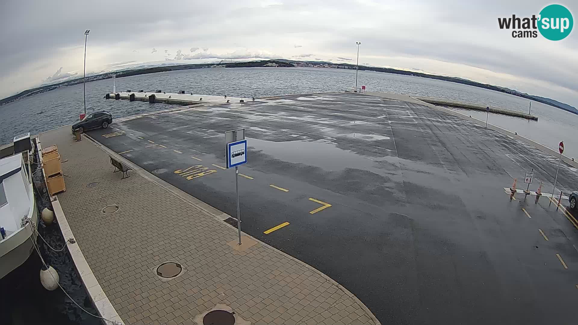 Tkon v živo – trajekt – Dalmacija – Hrvaška