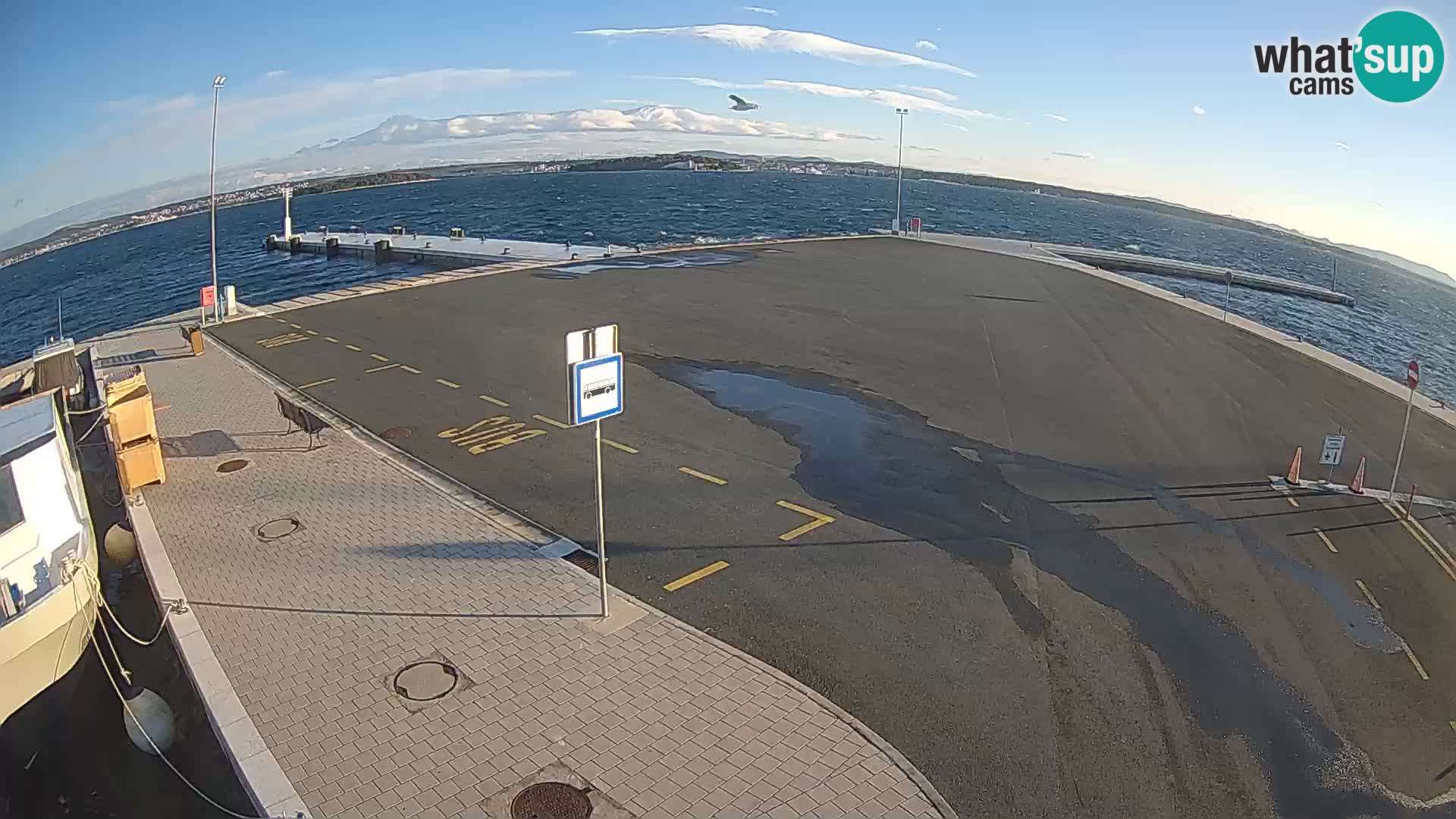 Tkon Live cam – traghetto – Dalmazia – Croazia