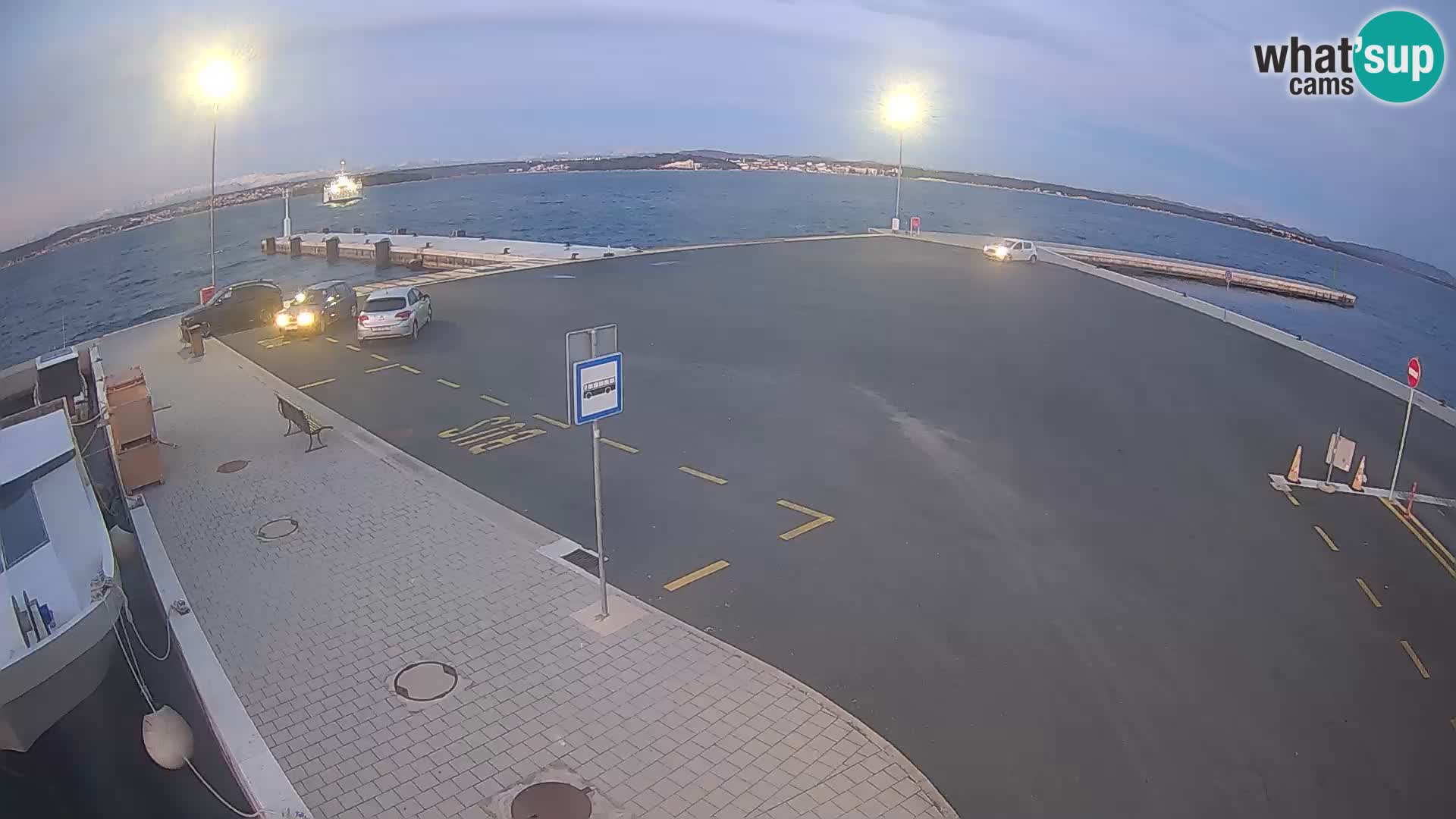 Tkon v živo – trajekt – Dalmacija – Hrvaška