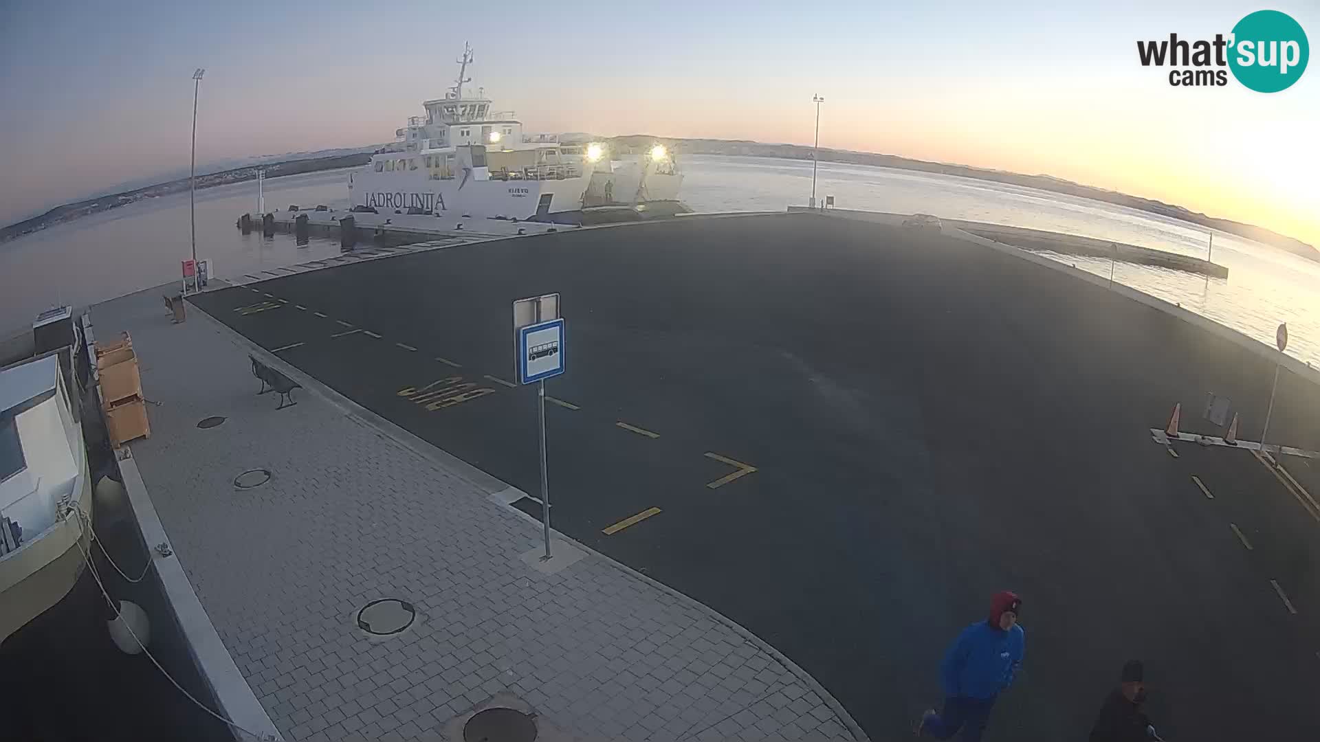 Tkon Live cam – ferry – Dalmatie – Croatie