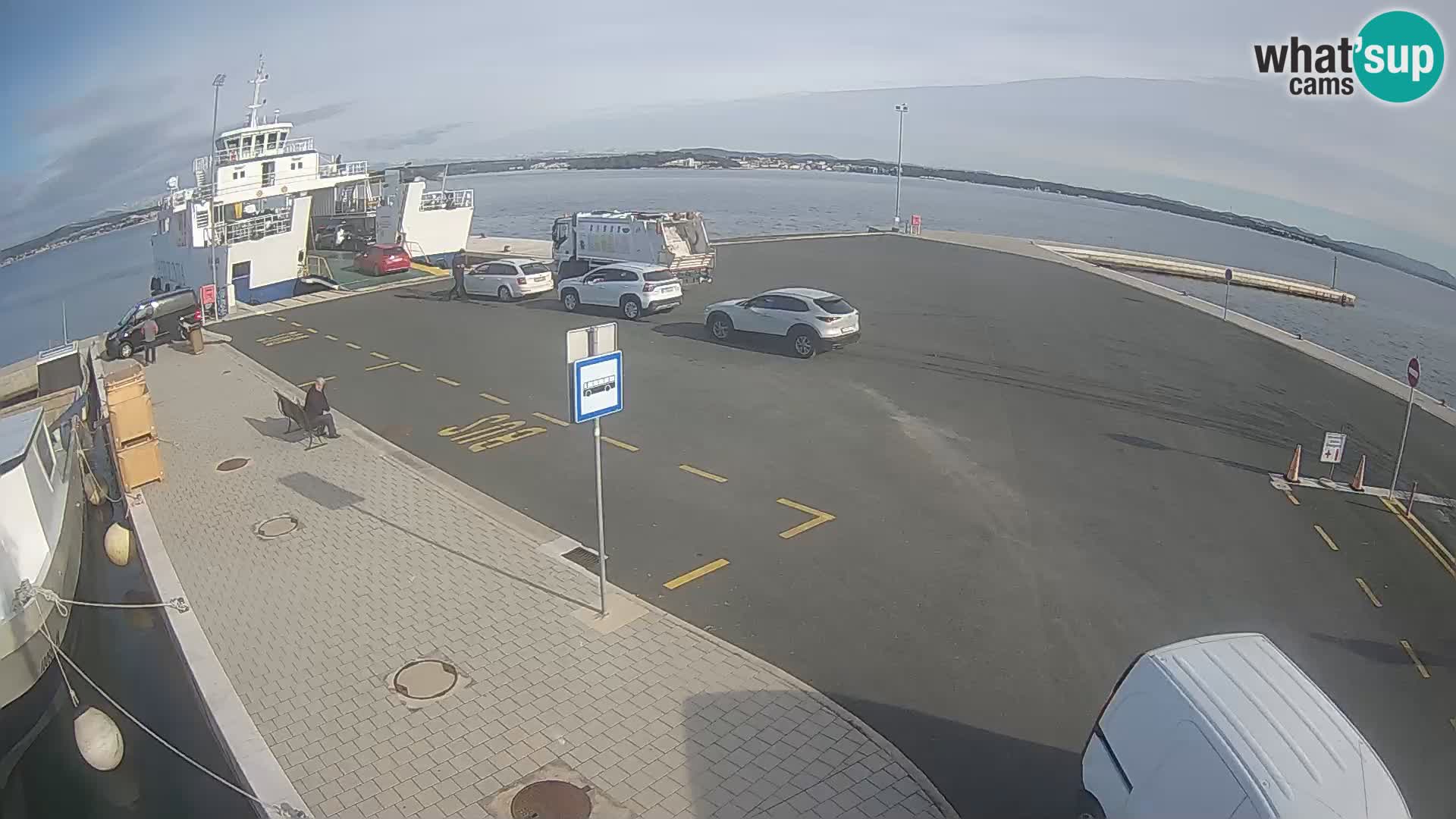 Tkon v živo – trajekt – Dalmacija – Hrvaška