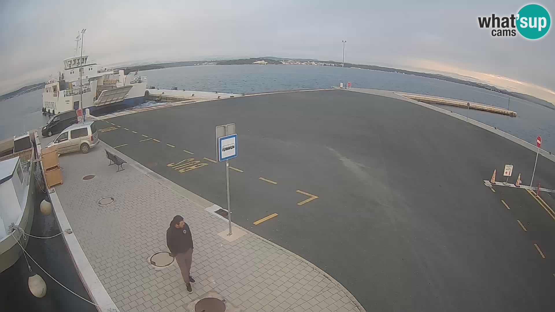 Tkon v živo – trajekt – Dalmacija – Hrvaška