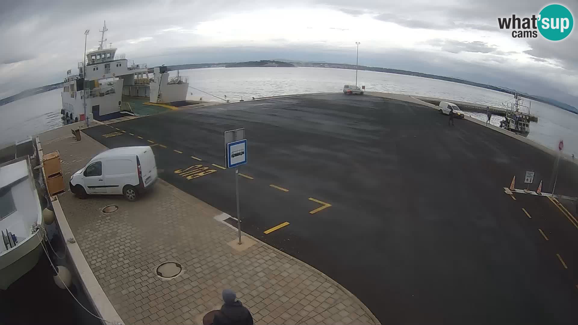 Tkon v živo – trajekt – Dalmacija – Hrvaška