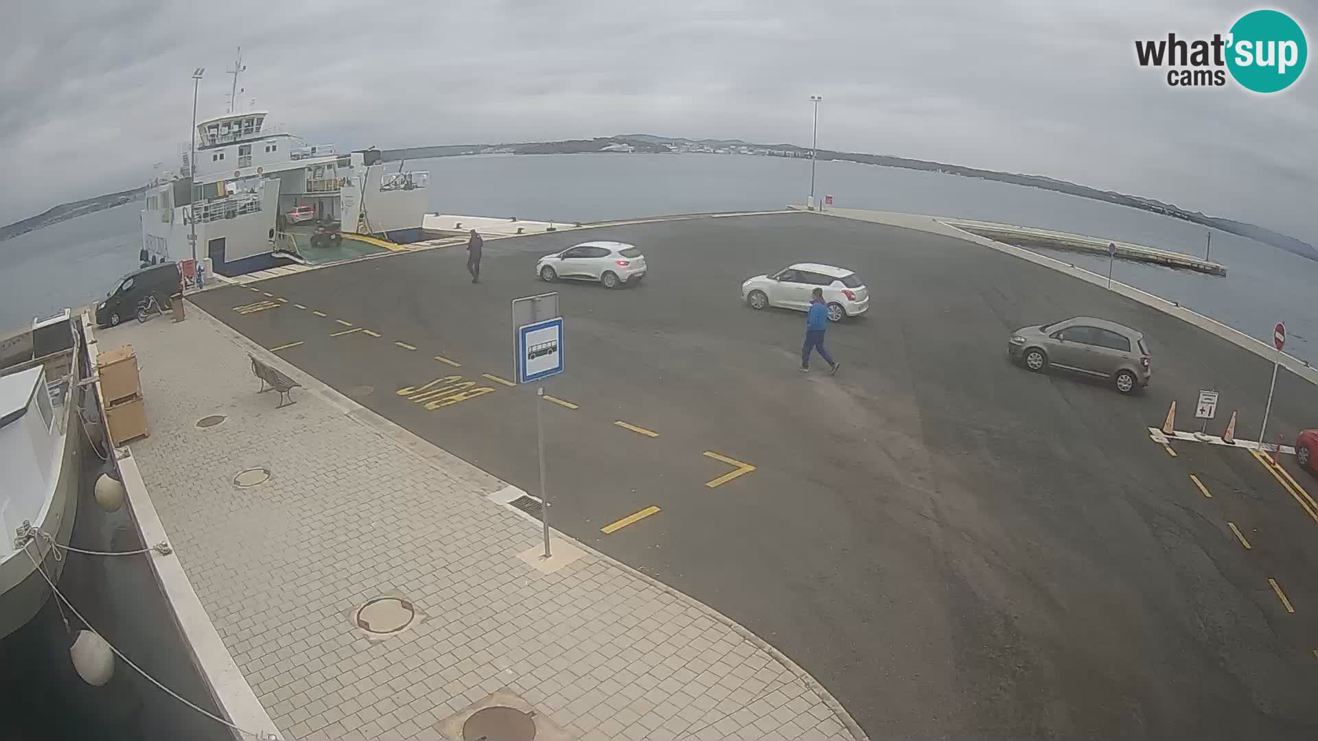 Tkon v živo – trajekt – Dalmacija – Hrvaška