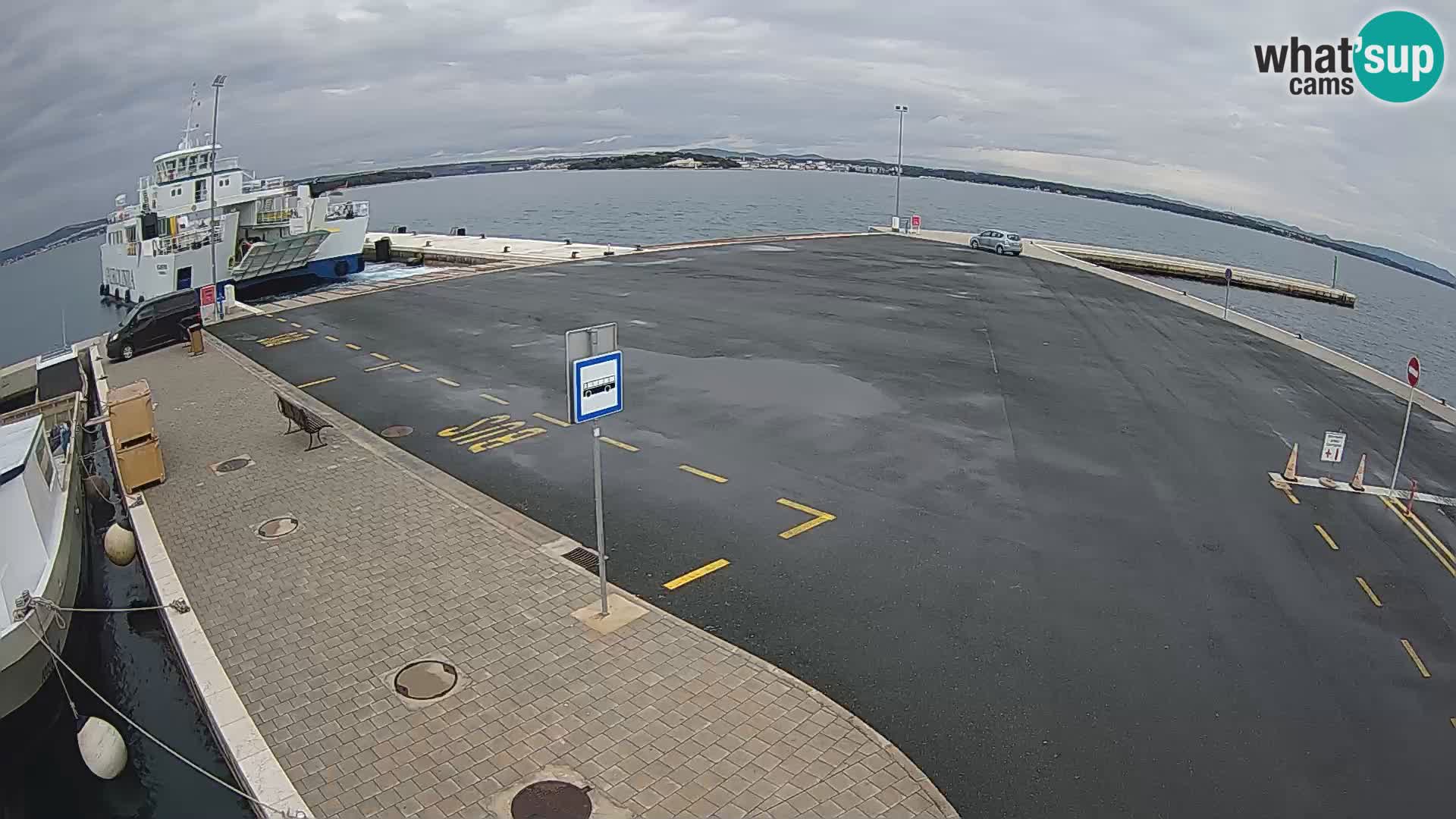 Tkon u živo – trajekt – Dalmacija