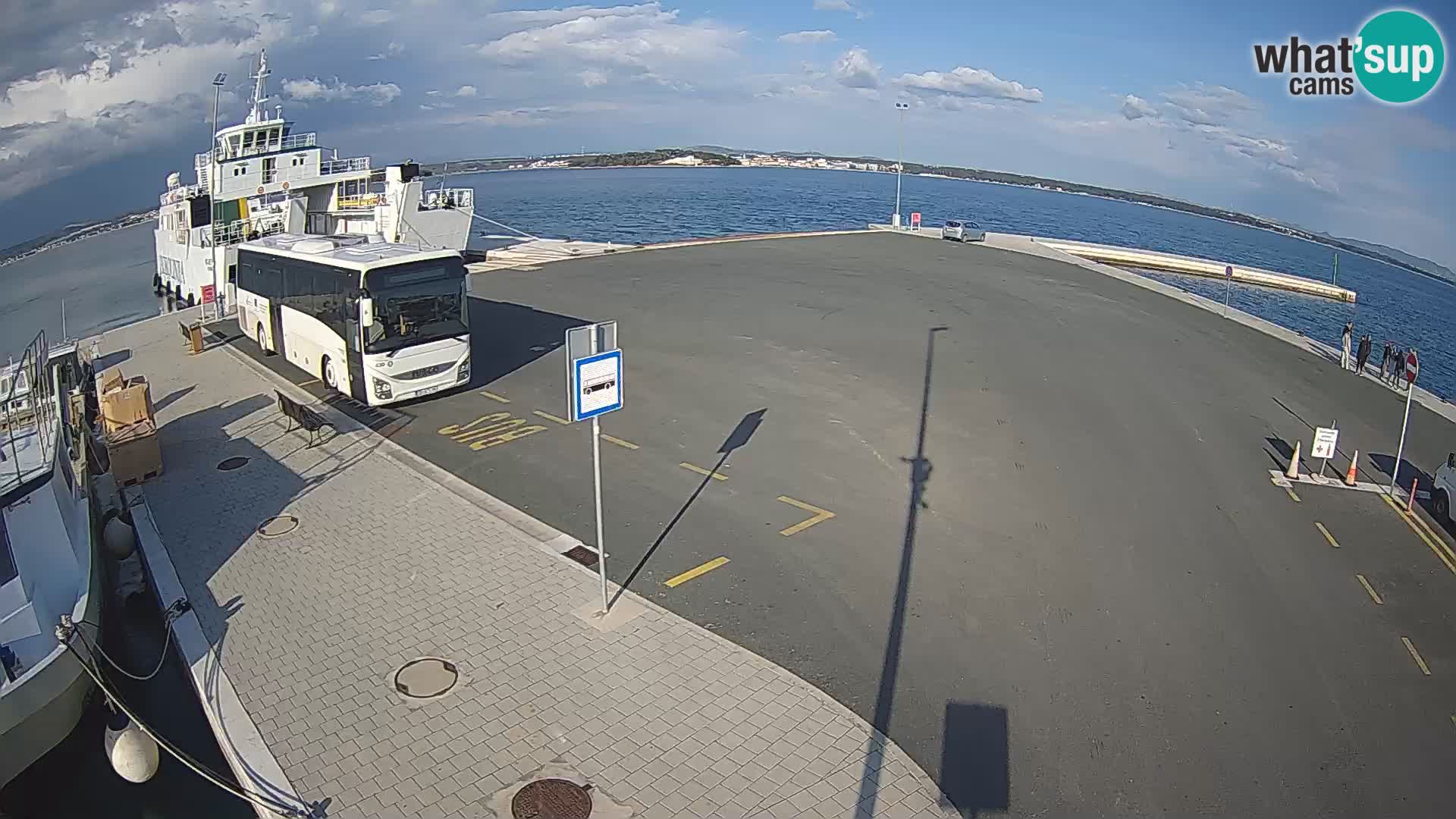 Tkon u živo – trajekt – Dalmacija