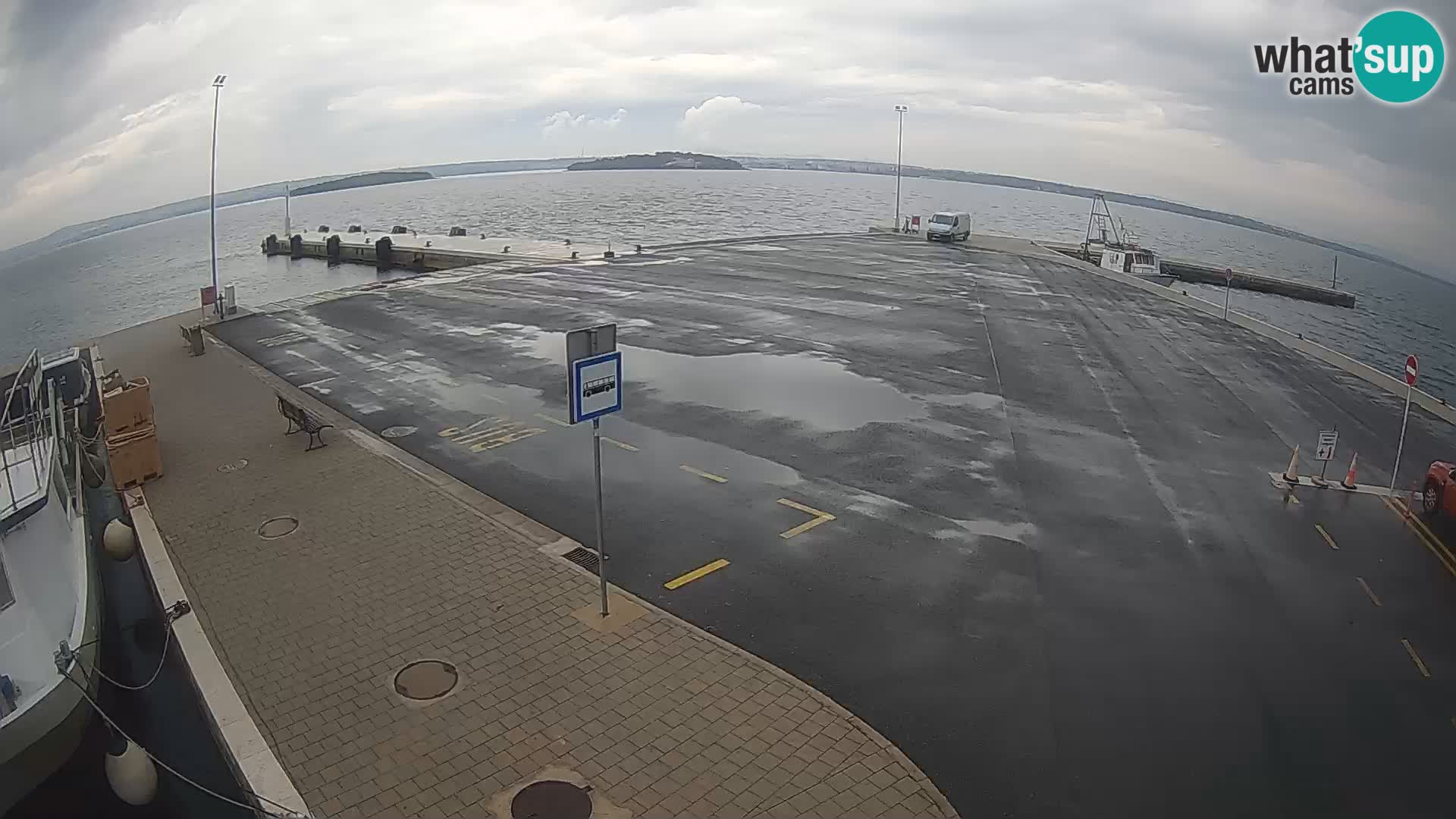 Tkon v živo – trajekt – Dalmacija – Hrvaška