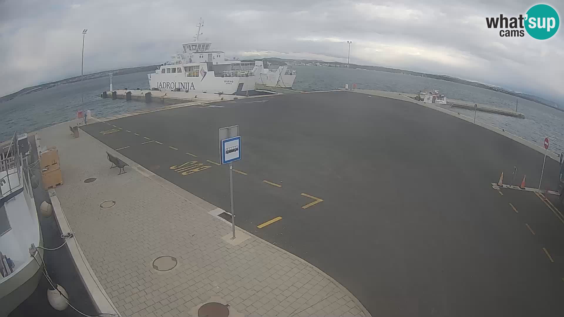 Tkon v živo – trajekt – Dalmacija – Hrvaška