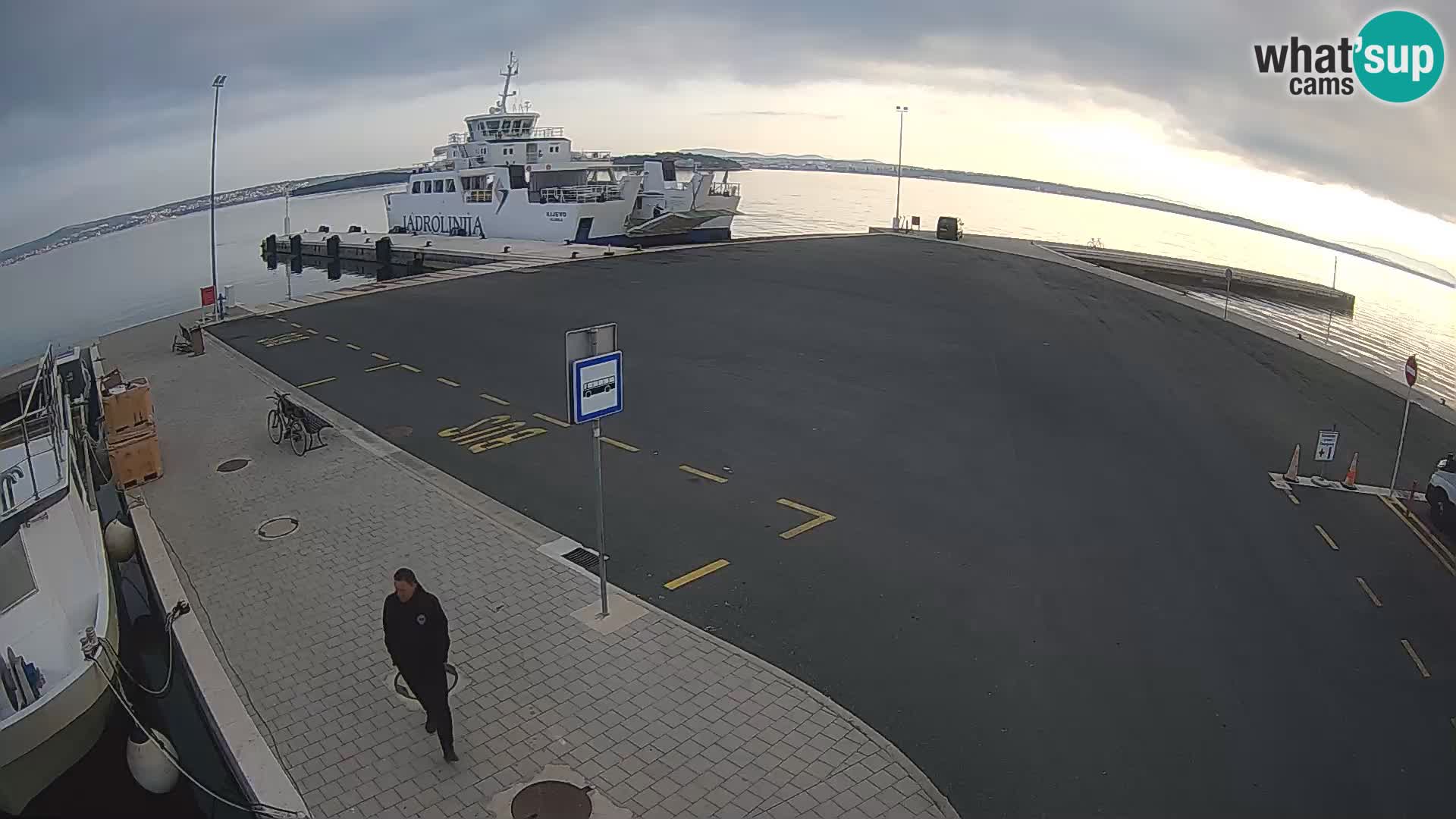 Tkon u živo – trajekt – Dalmacija