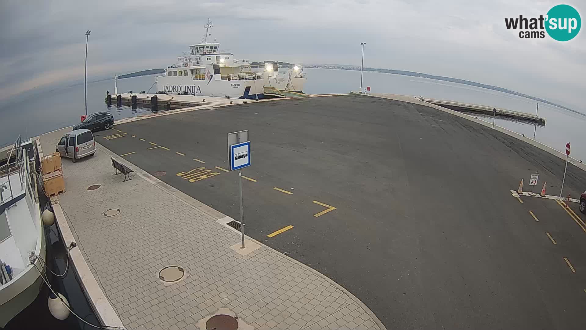 Tkon camera en vivo – Transportar – Dalmacia – Croacia