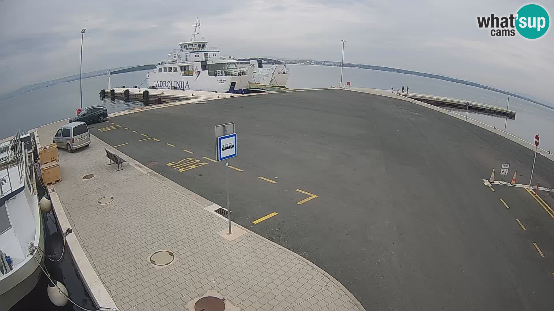 Tkon u živo – trajekt – Dalmacija