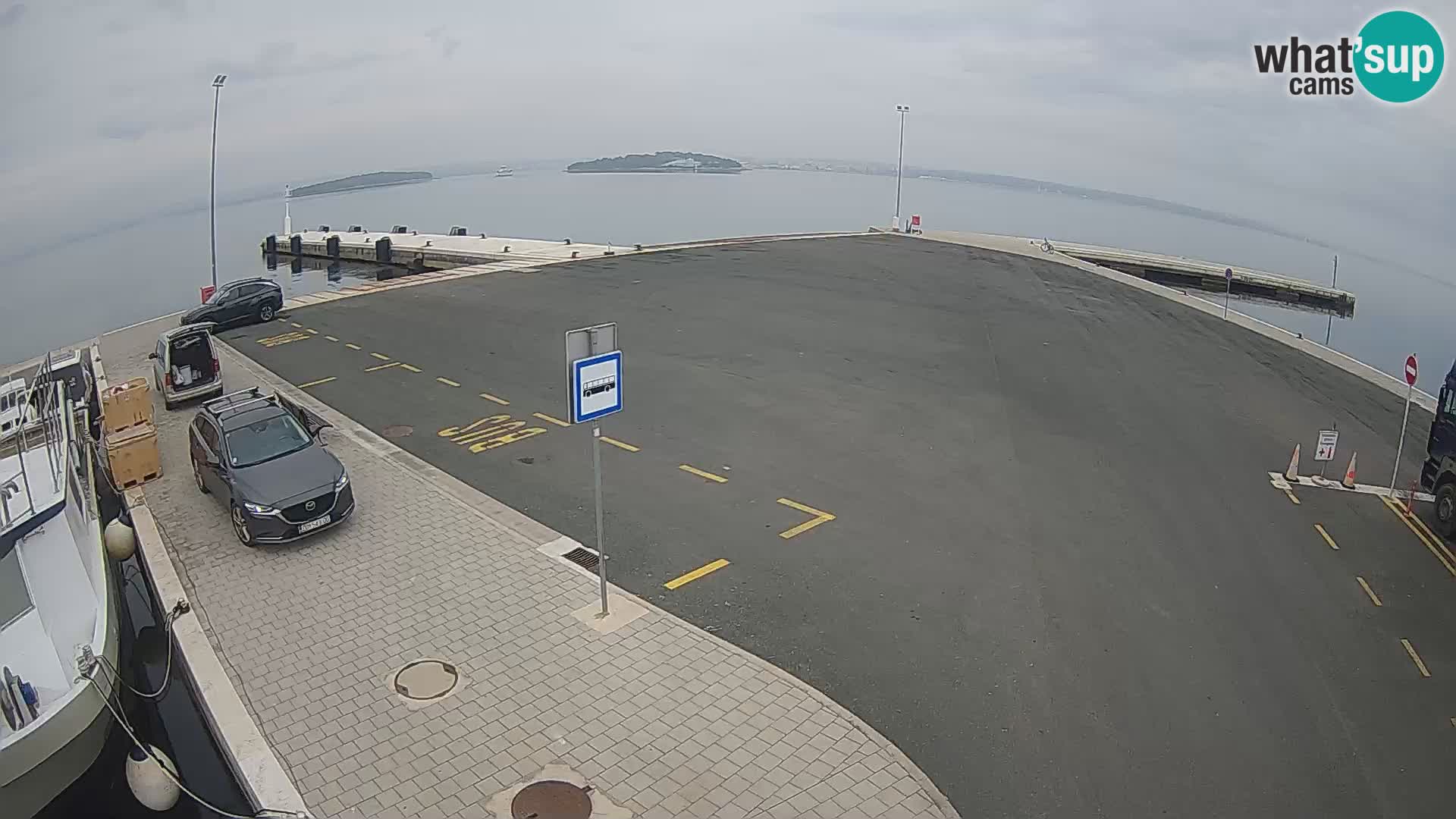 Tkon camera en vivo – Transportar – Dalmacia – Croacia