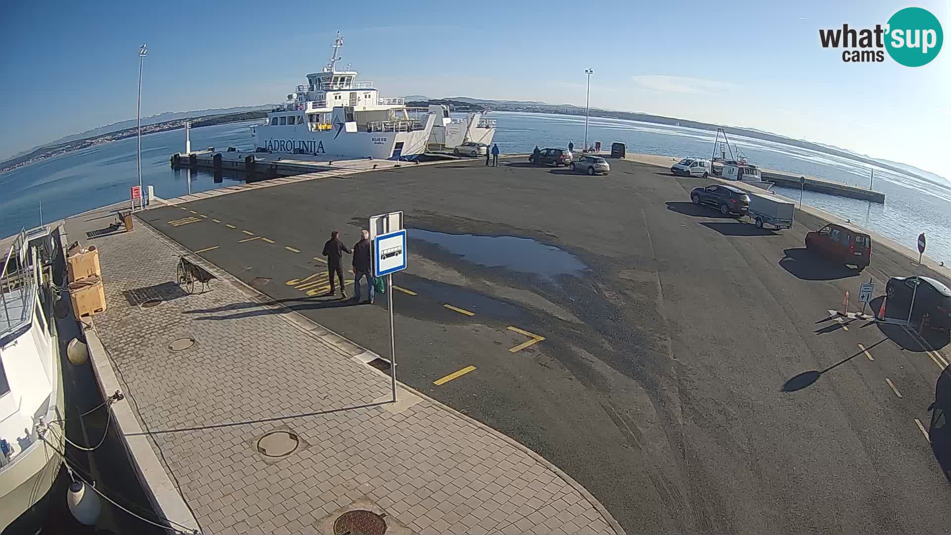 Tkon camera en vivo – Transportar – Dalmacia – Croacia