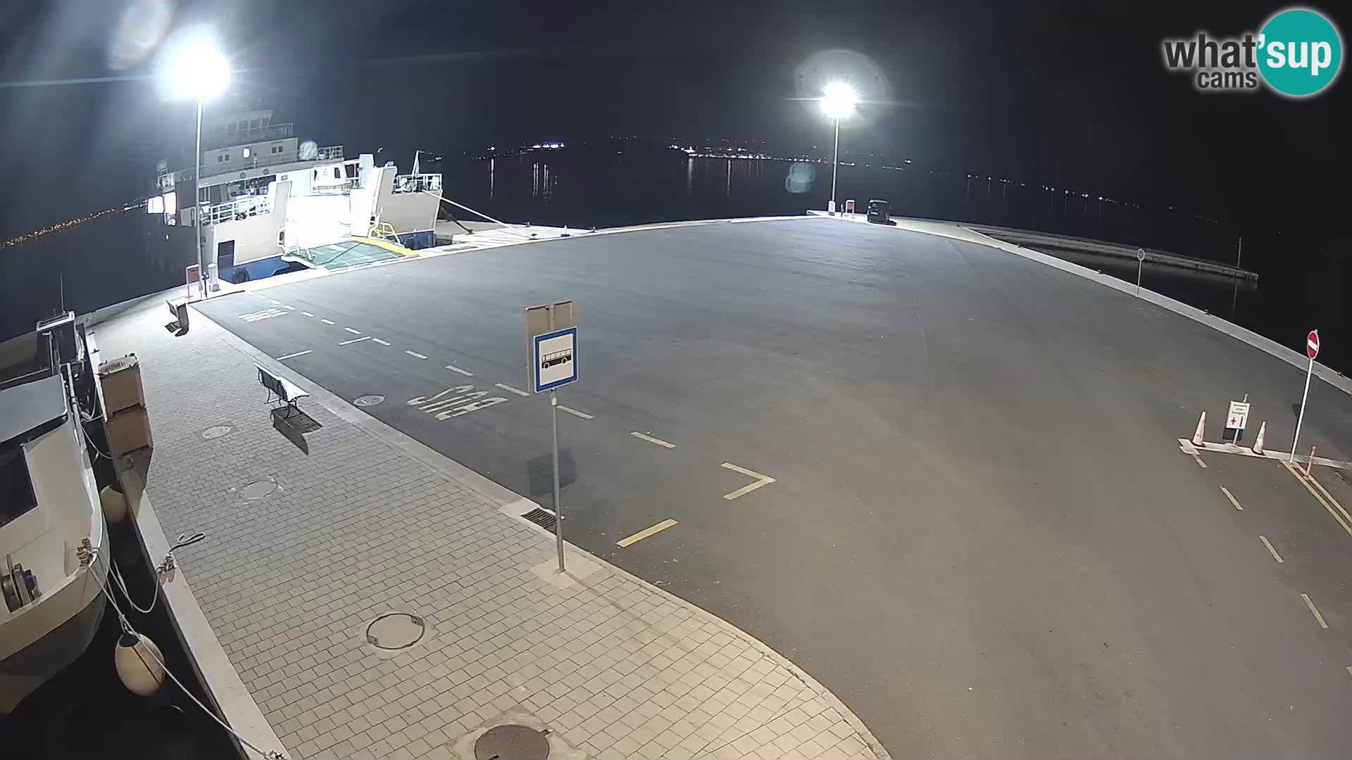 Tkon v živo – trajekt – Dalmacija – Hrvaška