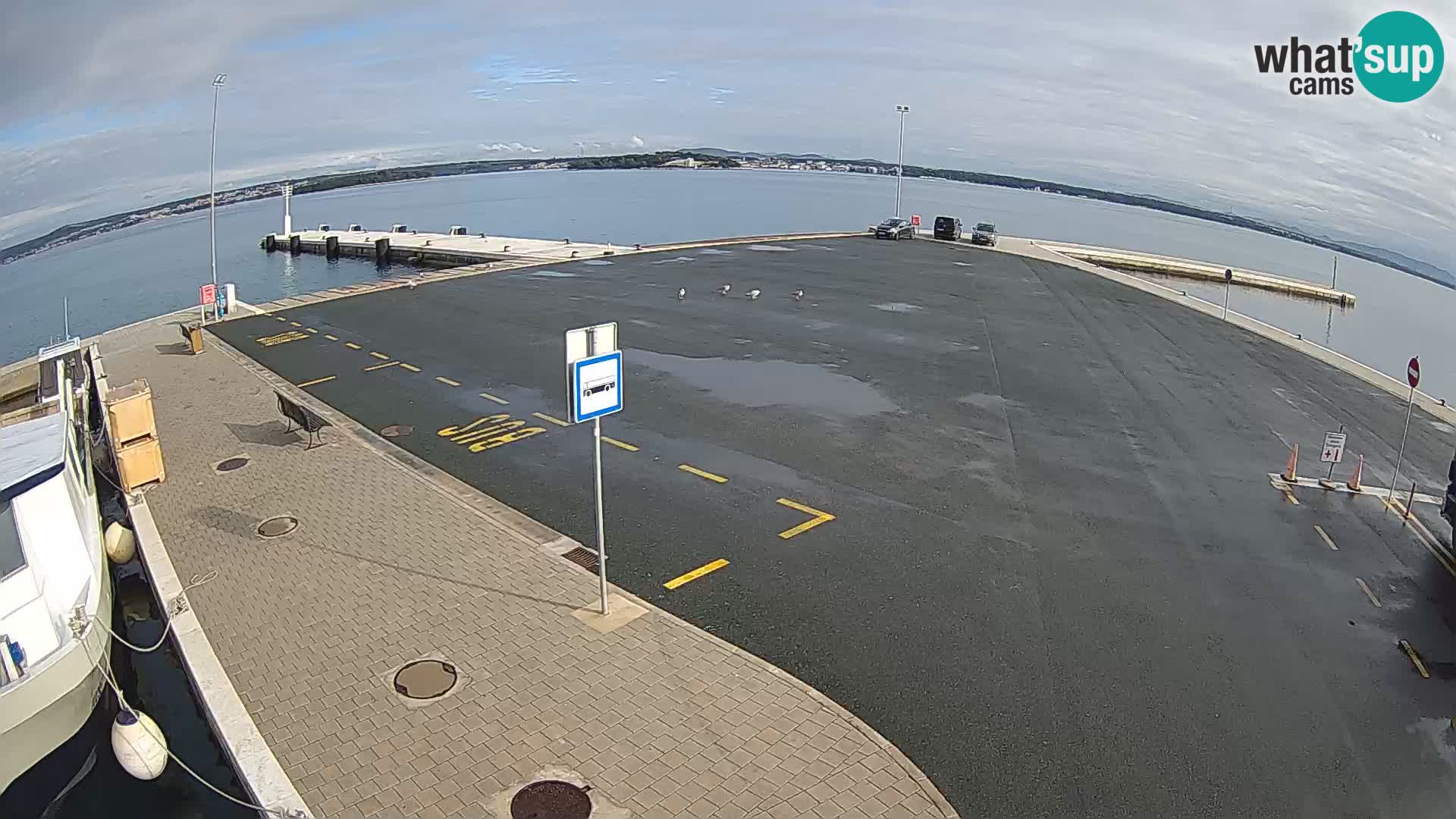 Tkon camera en vivo – Transportar – Dalmacia – Croacia