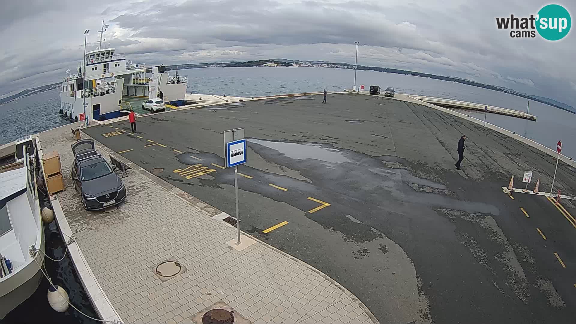 Tkon v živo – trajekt – Dalmacija – Hrvaška